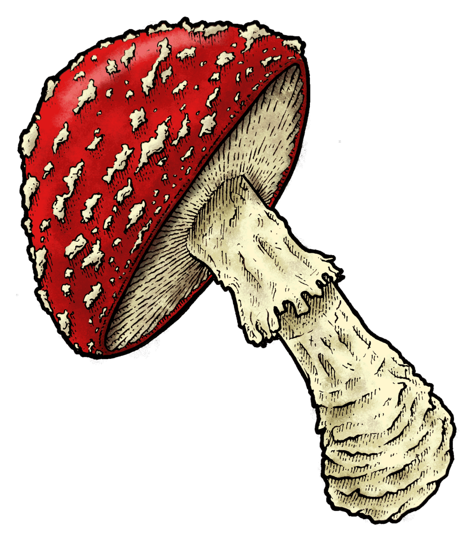 Fly Agaric.png