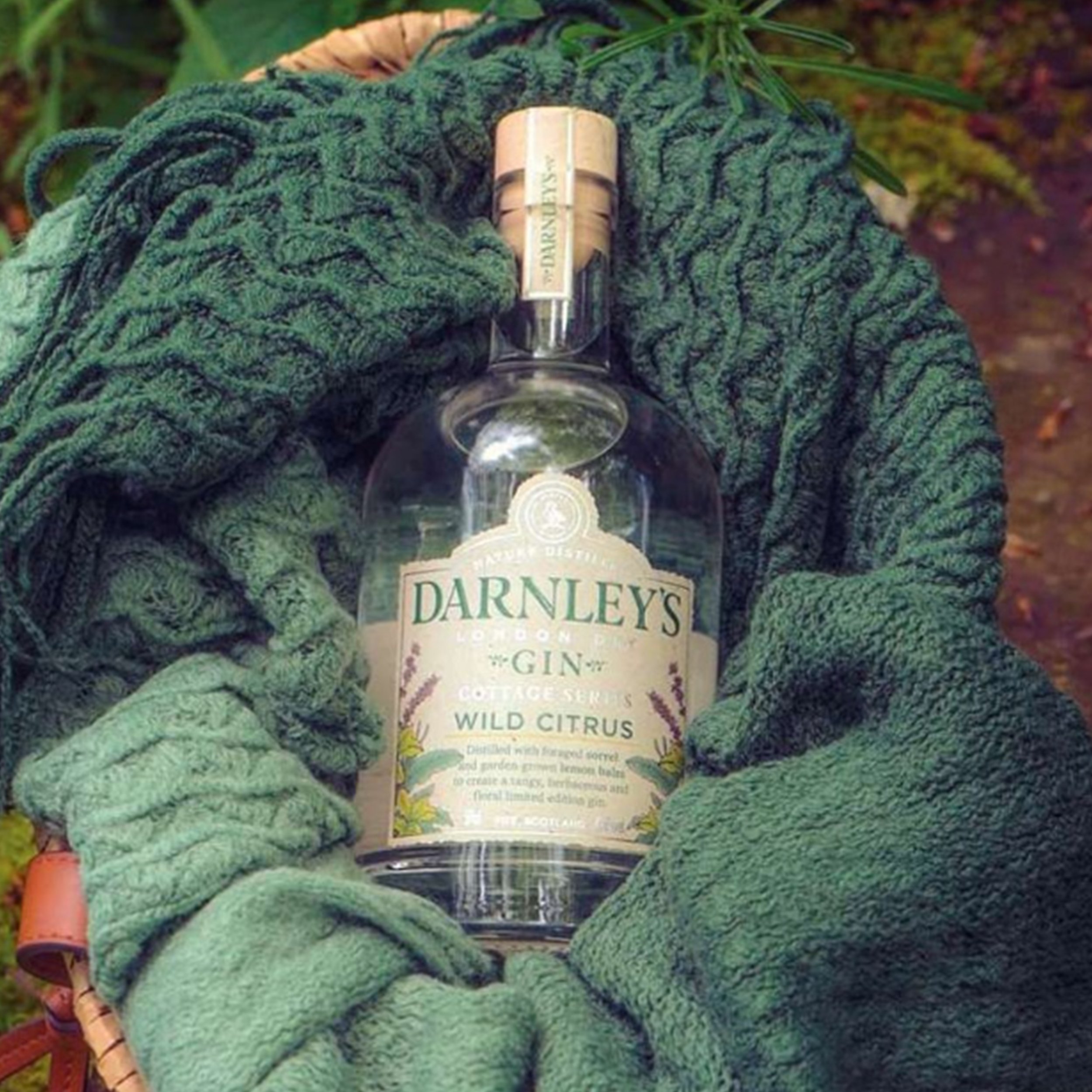 Bottle of Darnley's gin wrapped in a green knit blanket, outdoors.