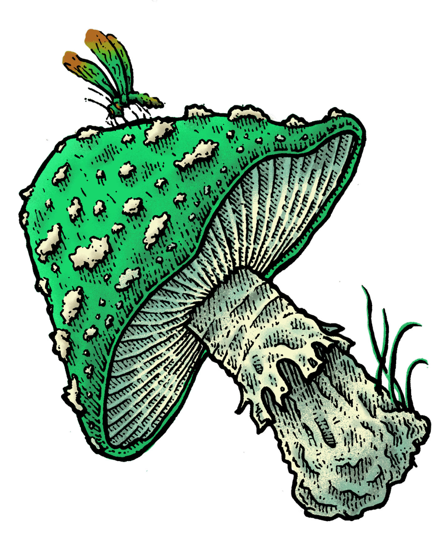 Green Mushroom.png