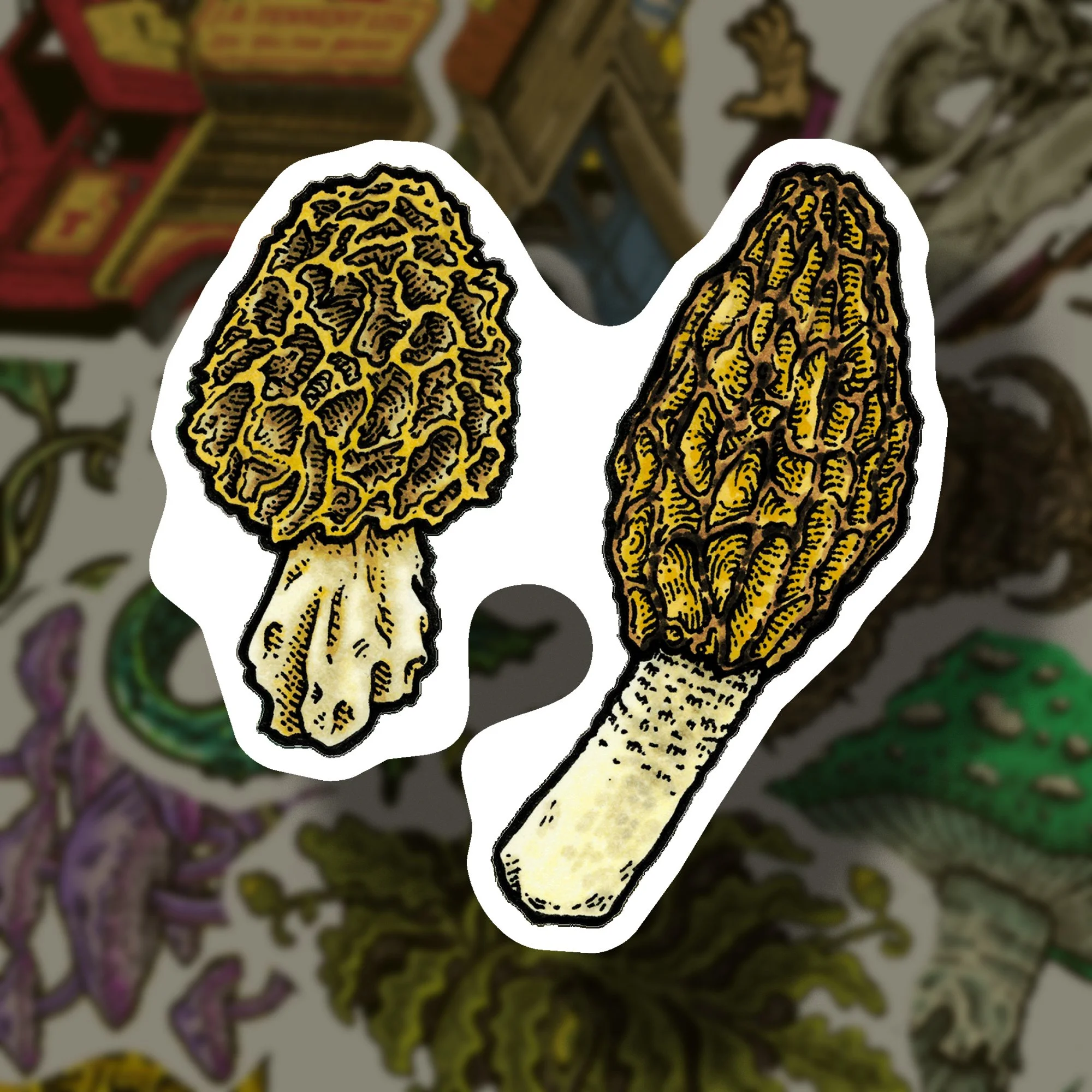 Yellow Morel & Common Morel Fungi Sticker