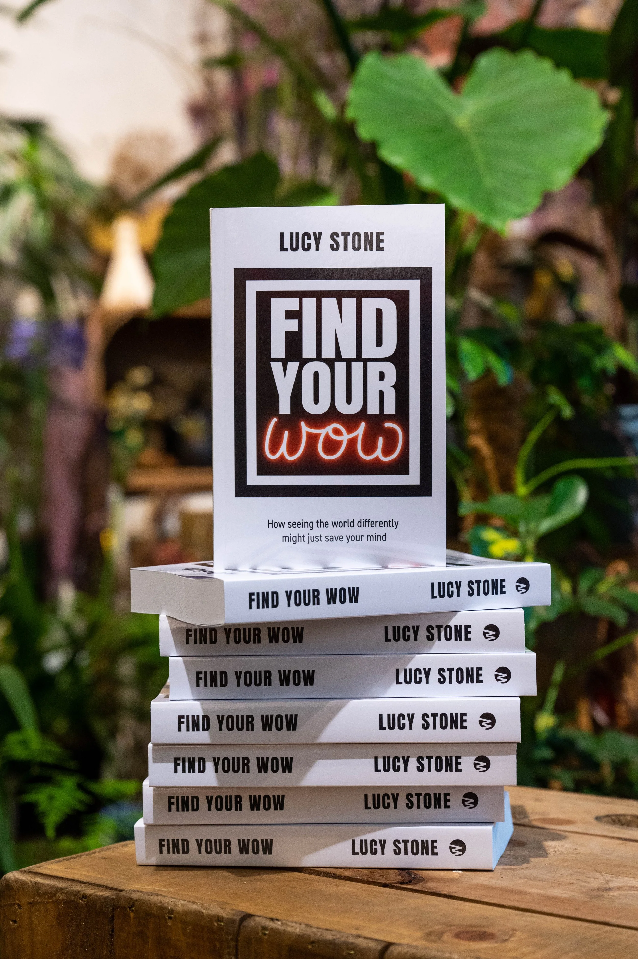 lucy stone book launch-86.jpeg