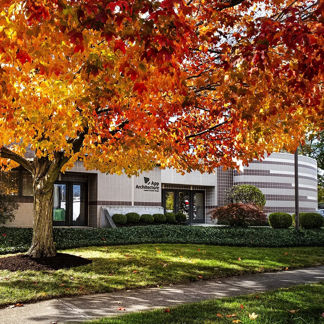 A large maple tree with vibrant orange and red autumn leaves in front of a modern office building with a sign reading 'App Architecture'. The building features a curved facade with horizontal striped design, surrounded by well-kept shrubs and a green lawn.
