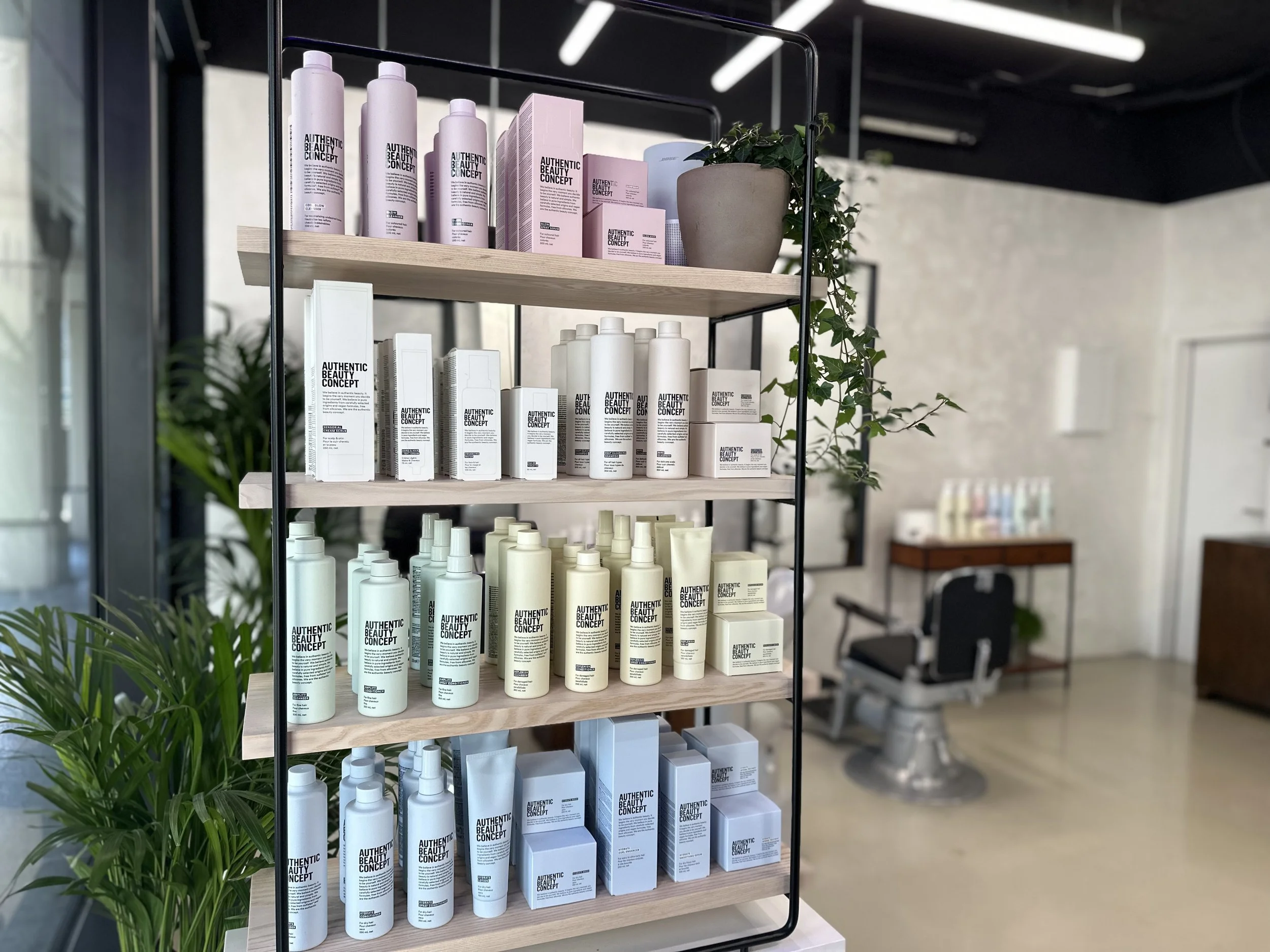 Bild 5 - IMG_9236.jpg