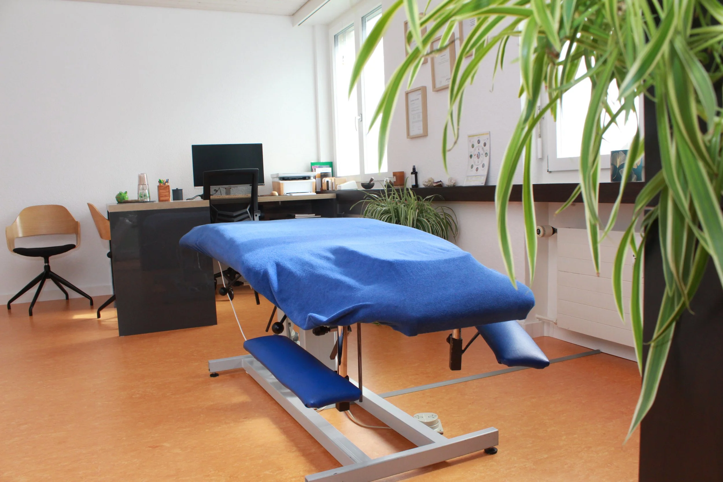 Saner Naturheilpraxis📍Laufen BL