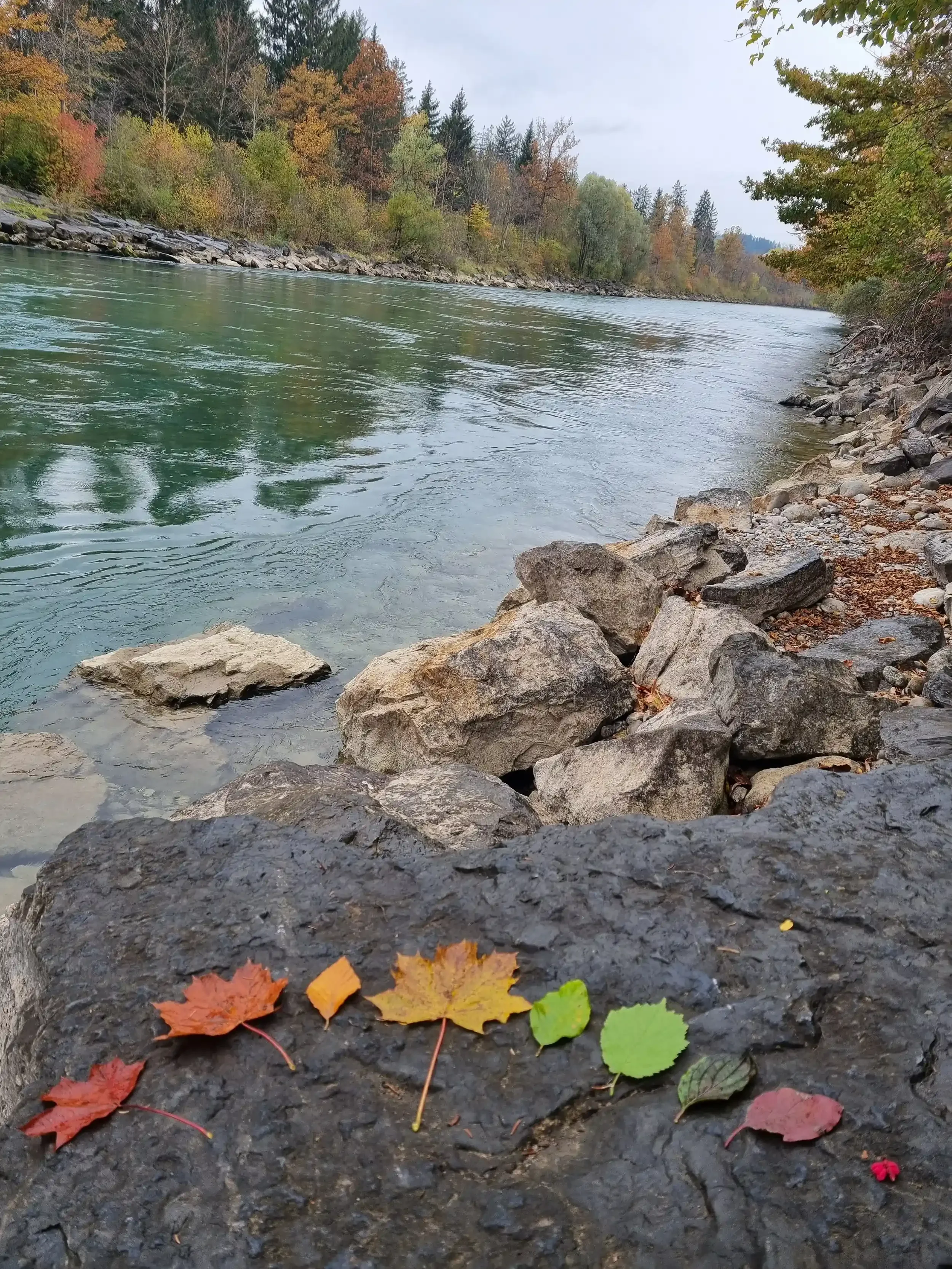 20231109_144452.webp