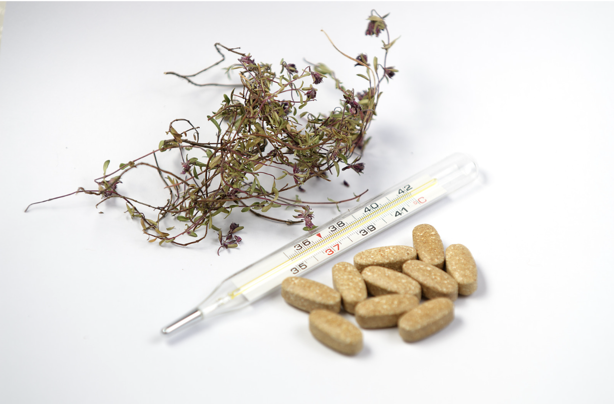 Registered Herbalist vs. Functional Medicine: Who to See