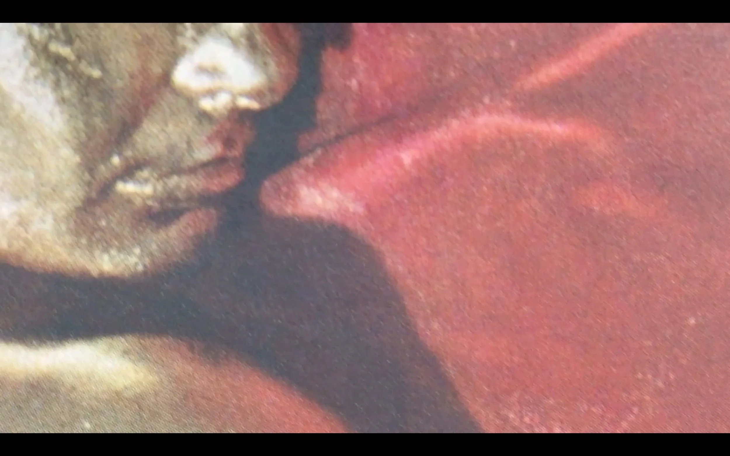 Screen Shot 3.jpeg