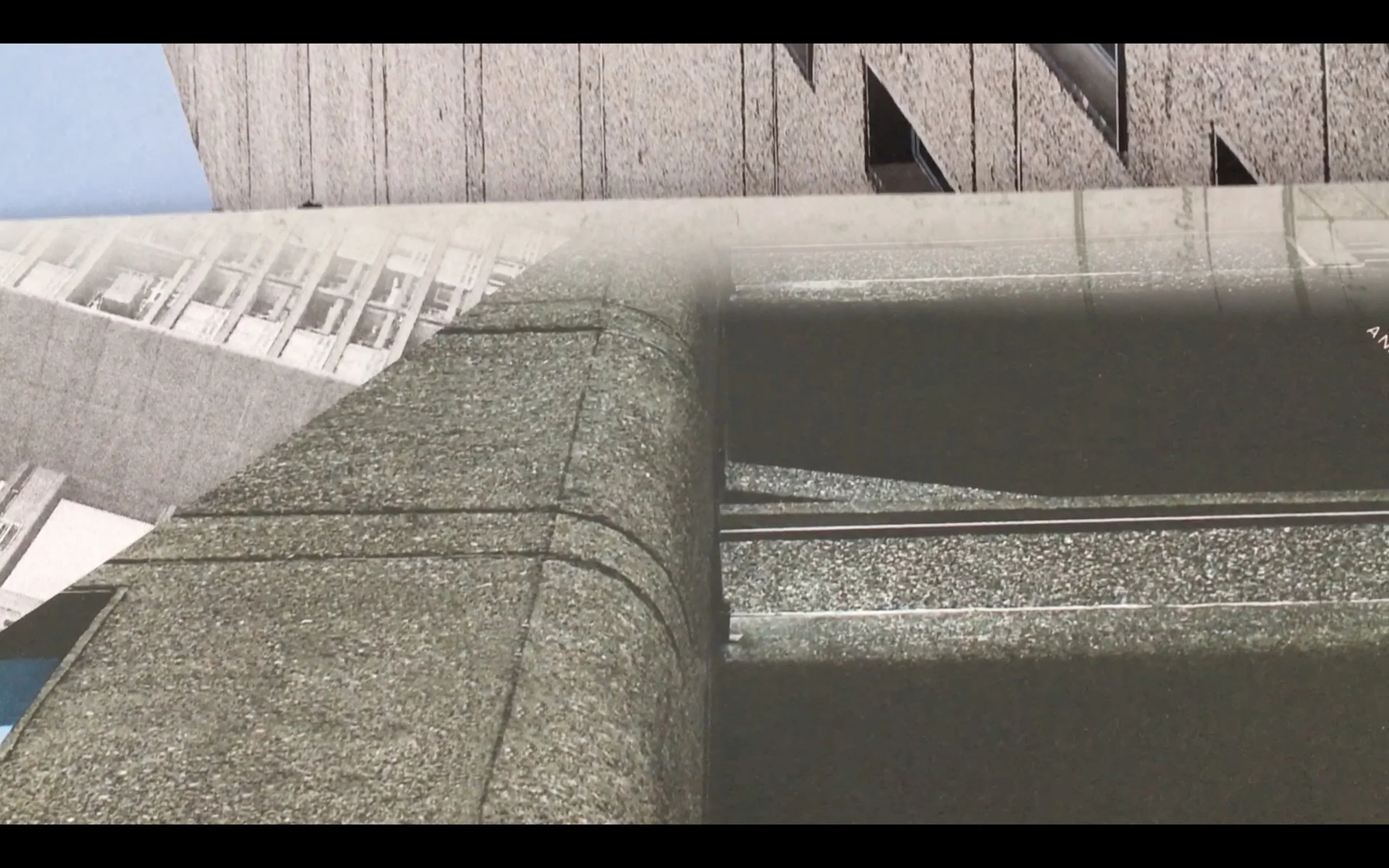 Screen Shot 1.jpeg