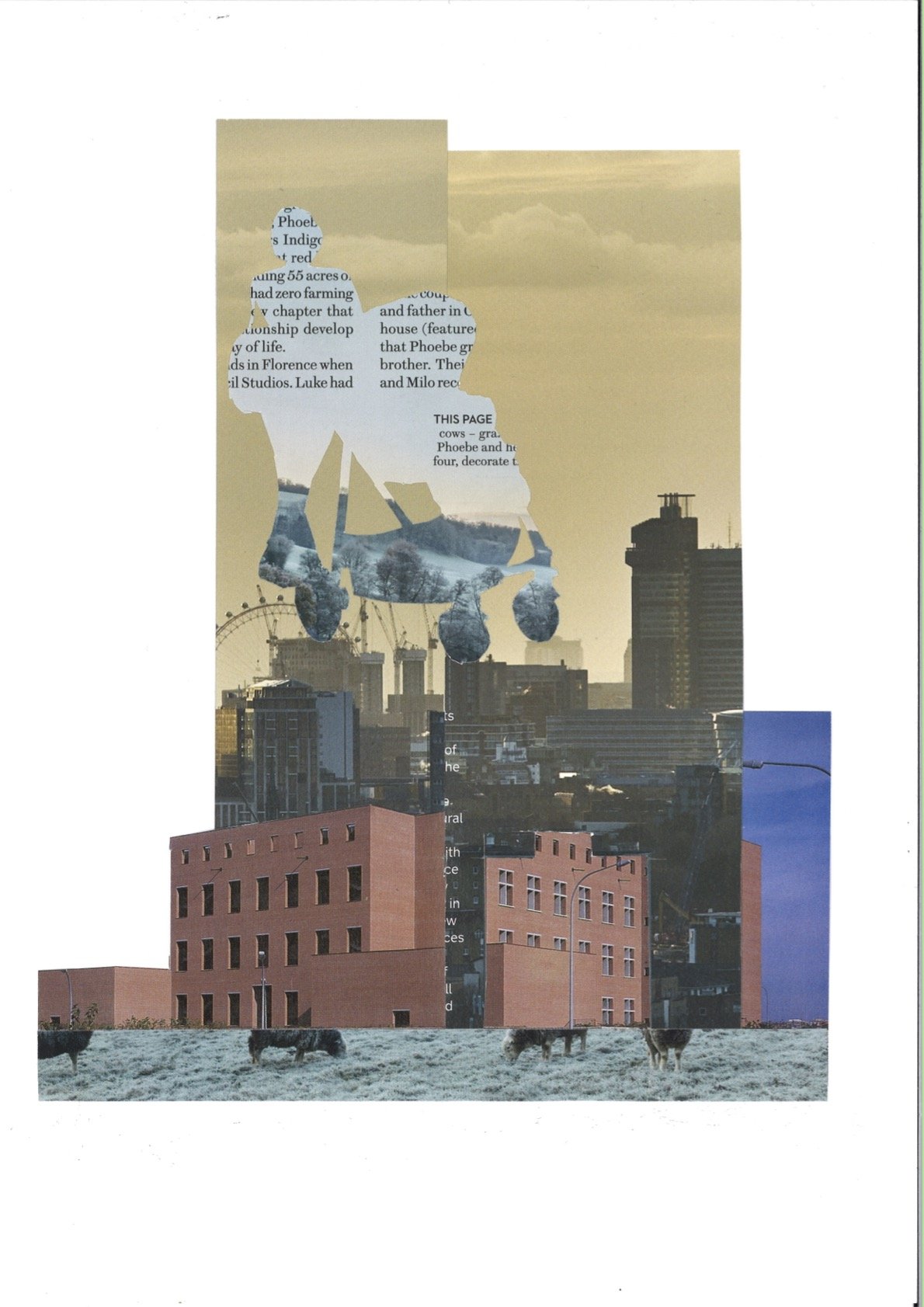 Untitled #16