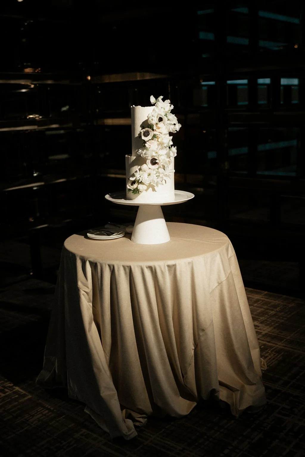 wedding cake anemone 