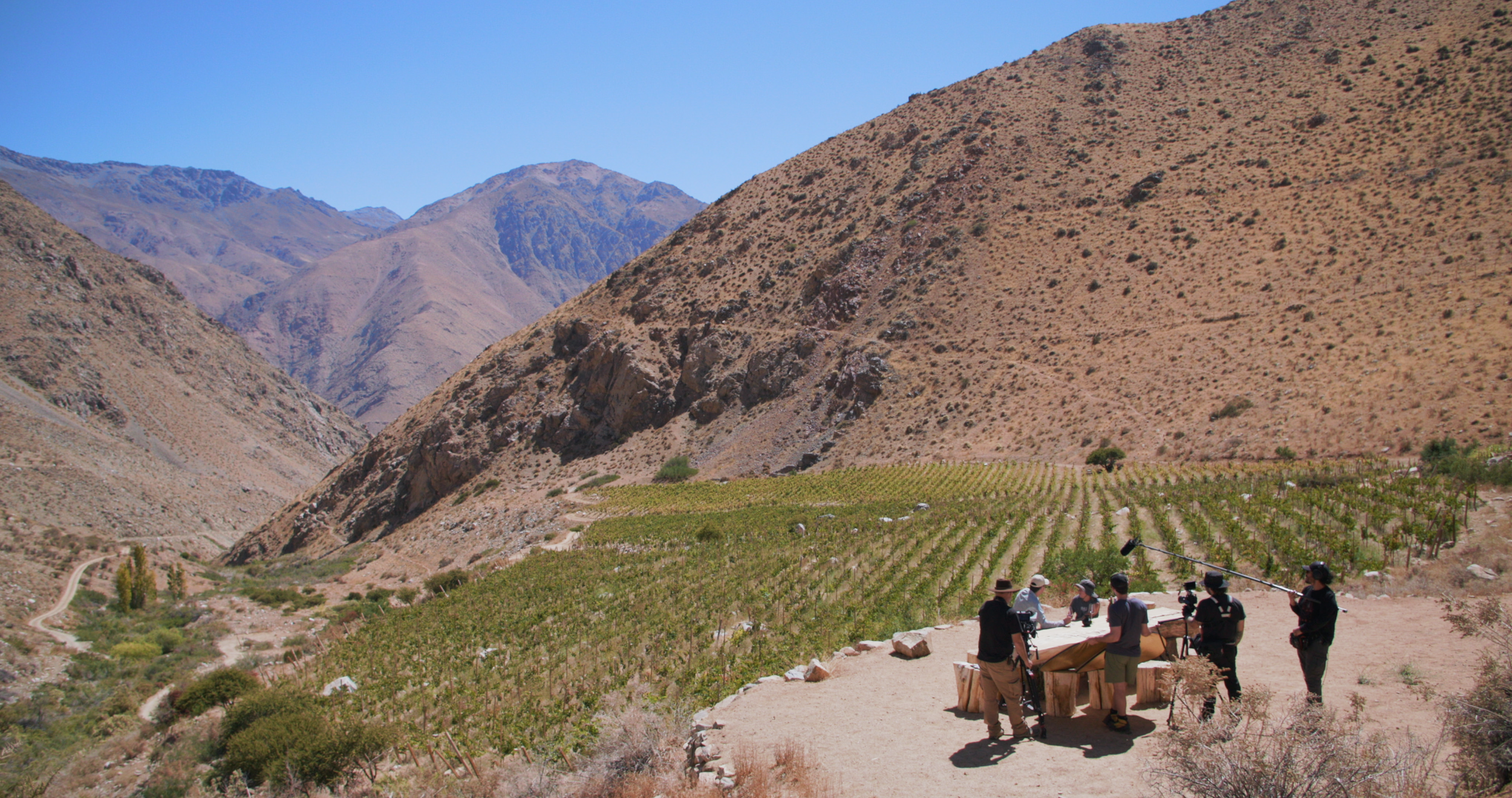 UPC High Elevation Vineyard.png