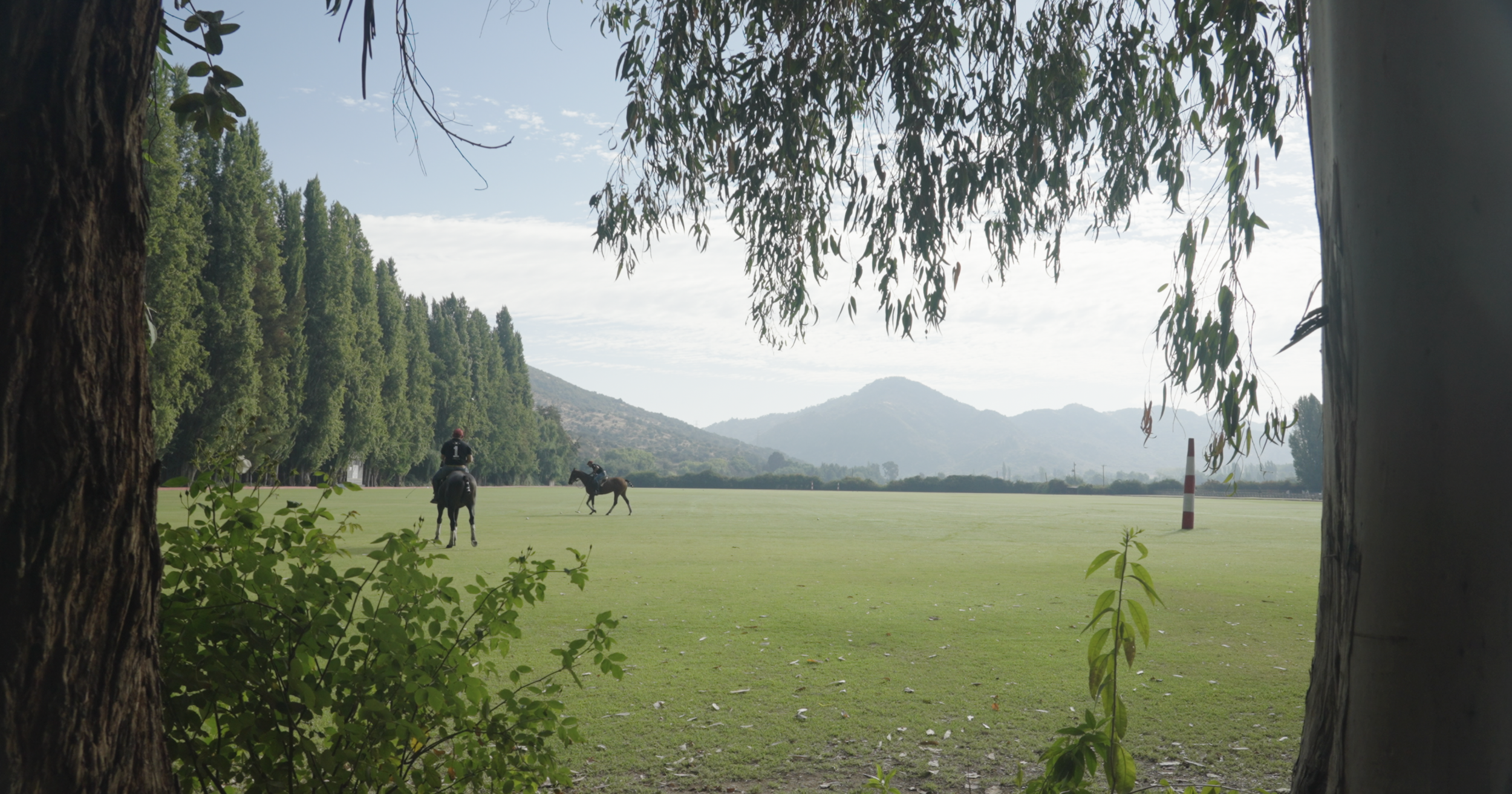 UPC Casa Silva Polo Field from Forest.png