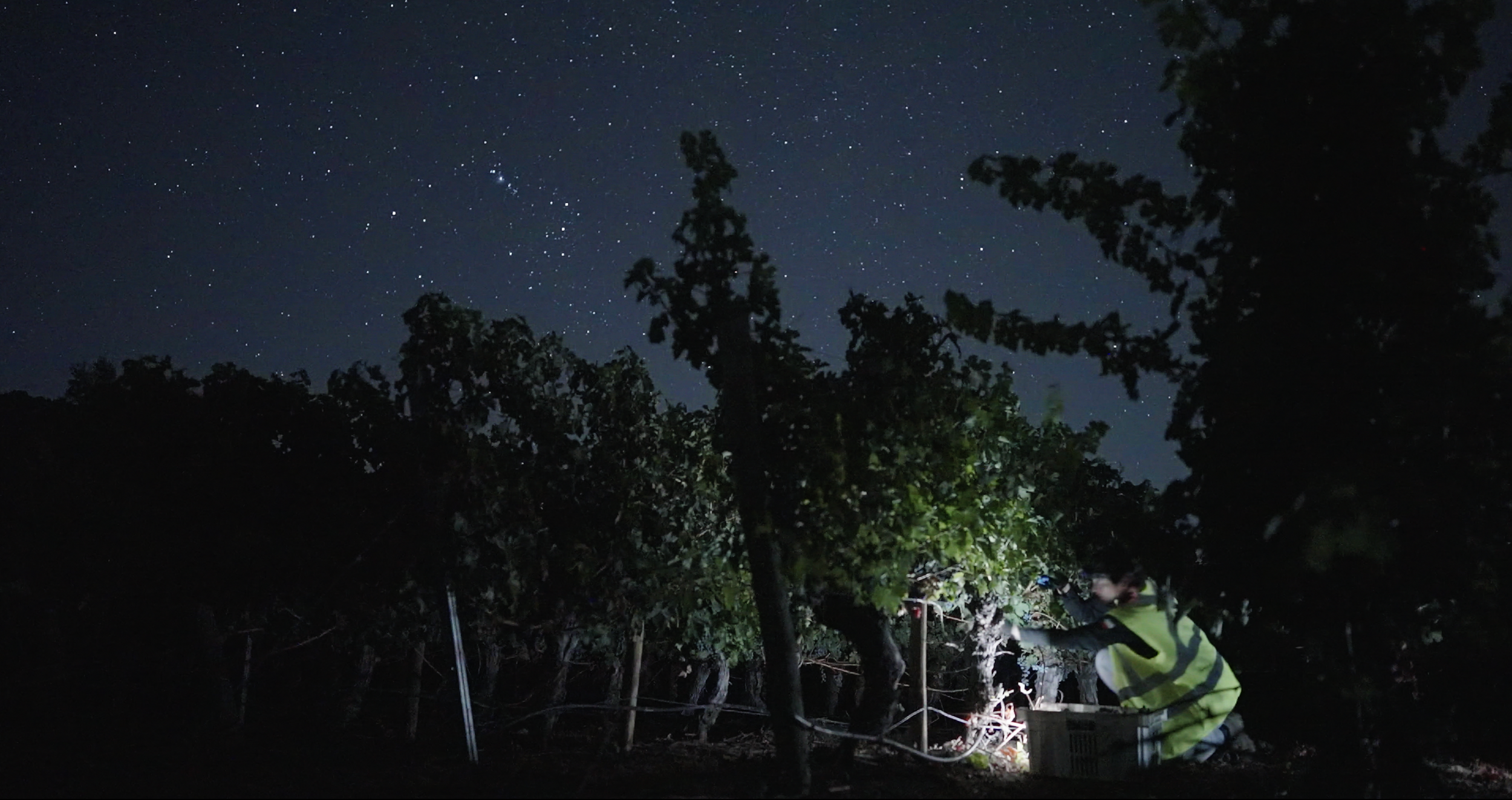 UPC Night Harvest under Orion.png
