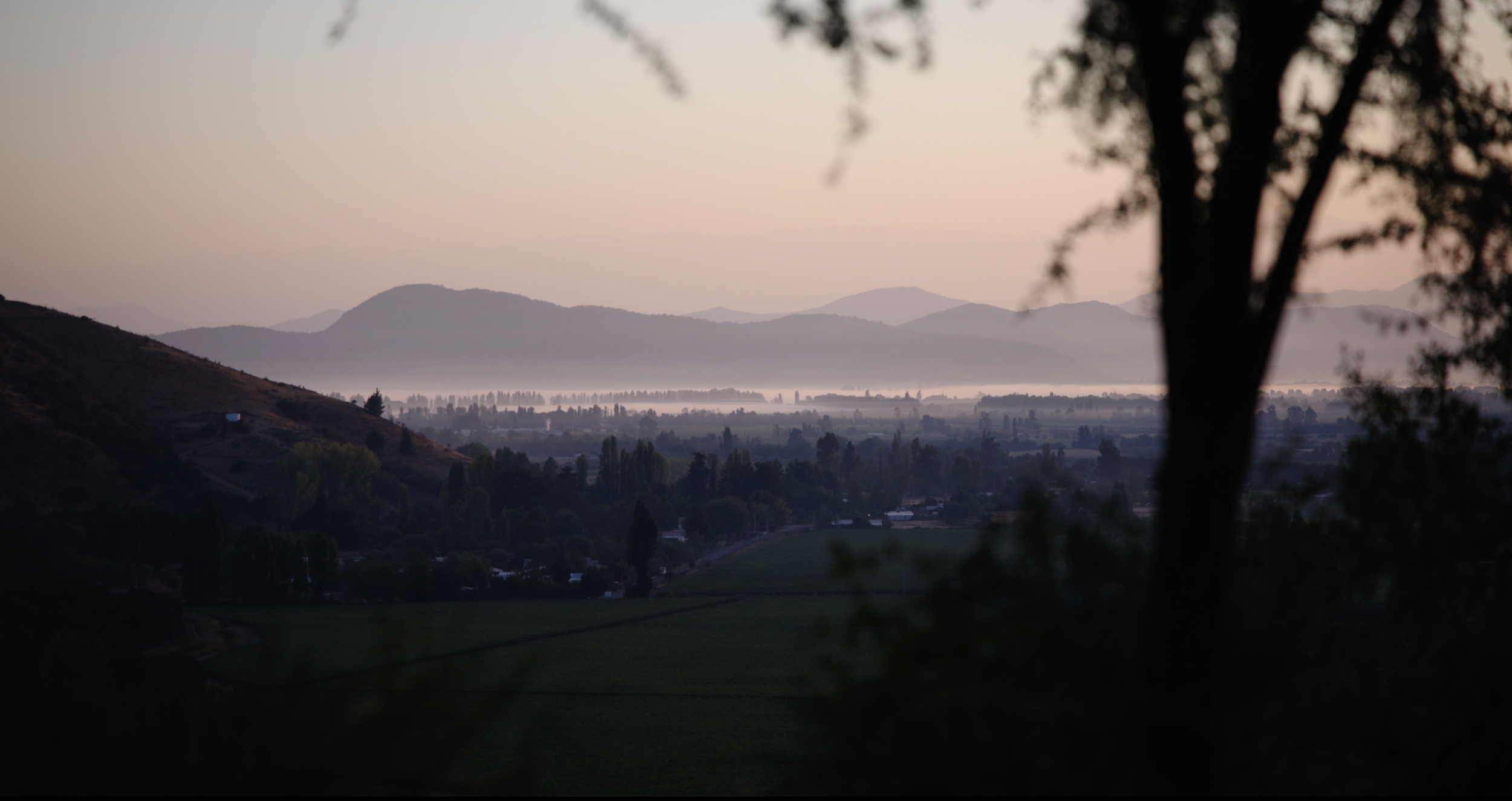 UPC Early Morning Fog VIK.png