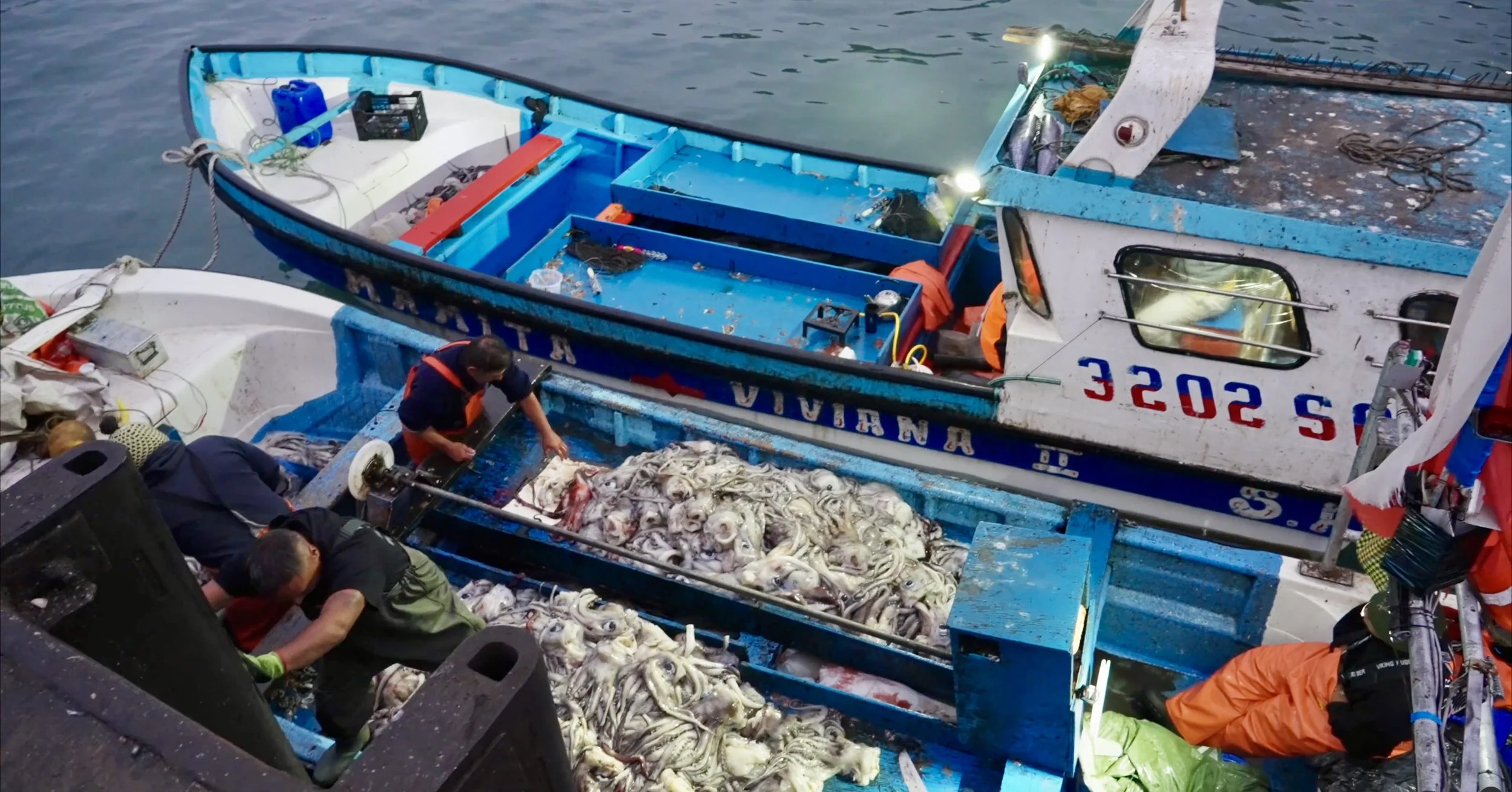 Screenshot 2025-12-19 at 2.46.29 PM.jpeg