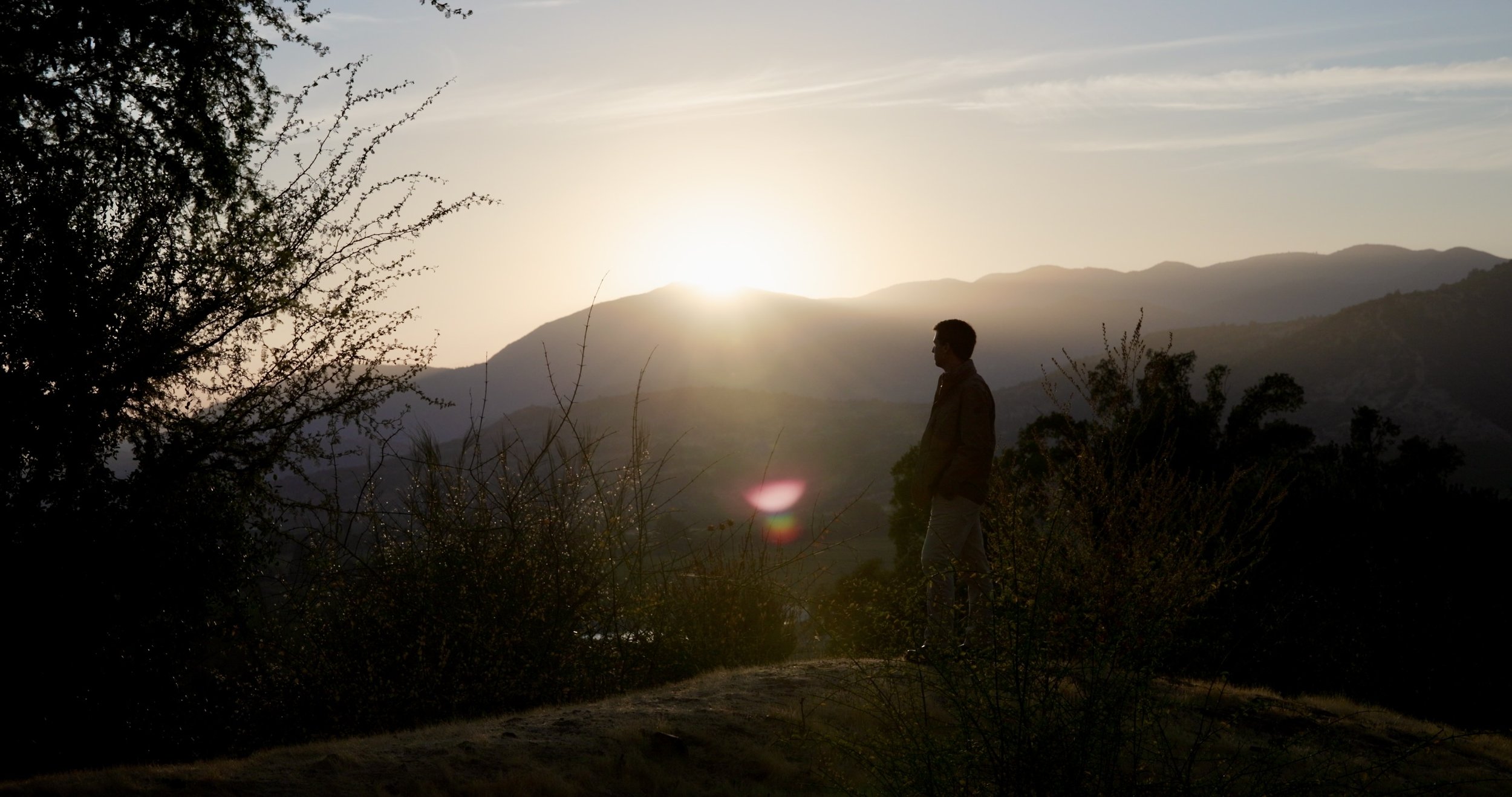 UPC Jack at VIK Sunrise Landscape.jpeg