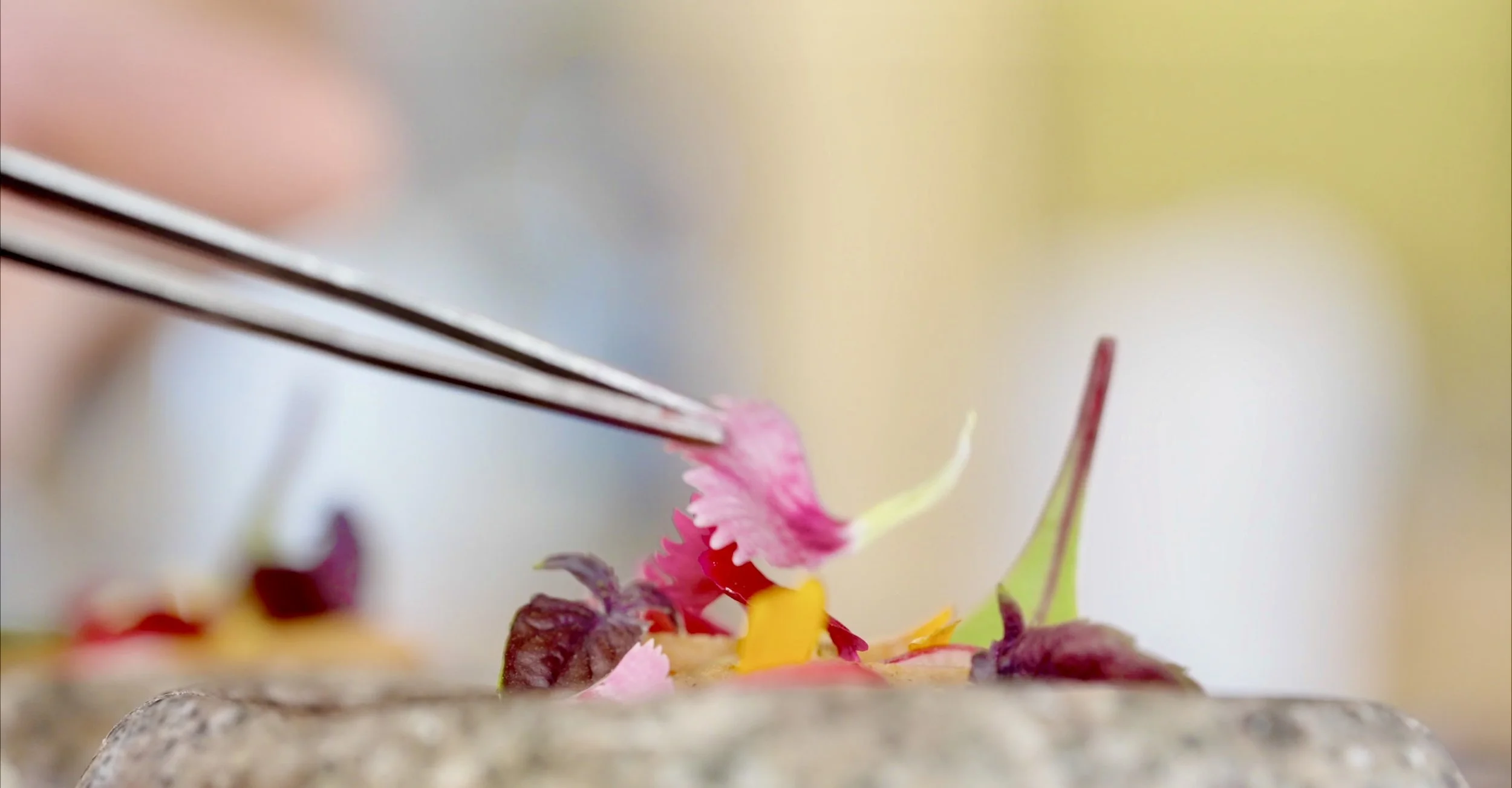 Screenshot 2025-12-19 at 2.48.35 PM.jpeg