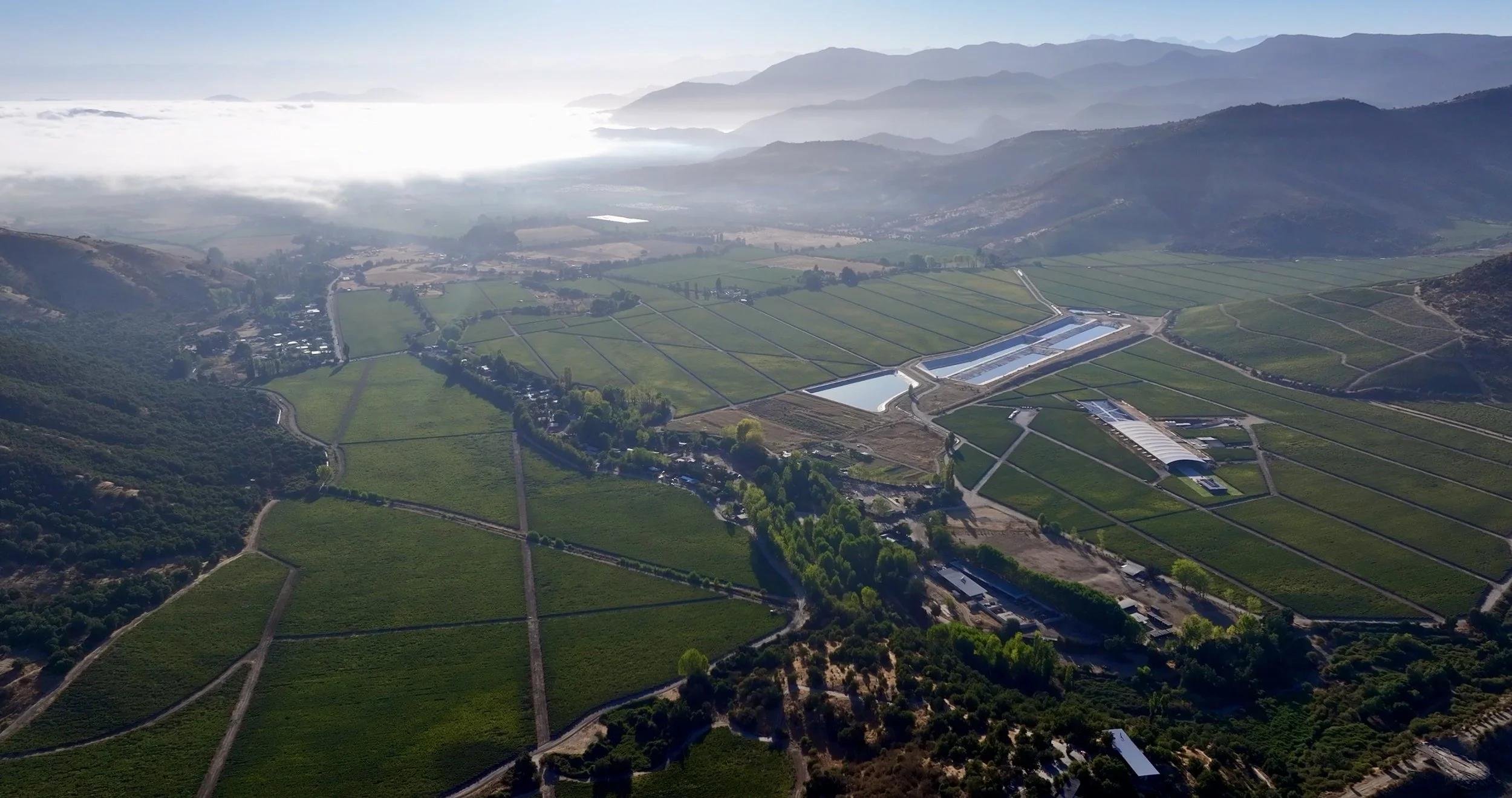 UPC VIK Fog Aerial.jpeg