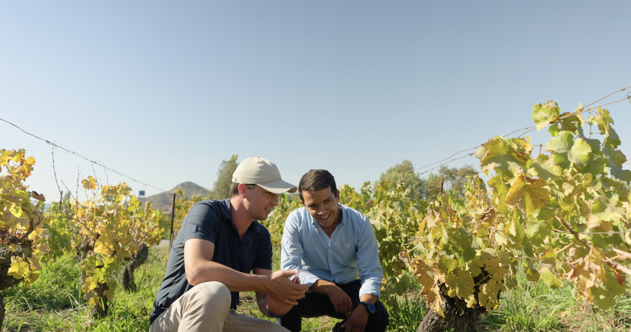 UPC 1912 Vineyard Jack and Marcelo MCU.png