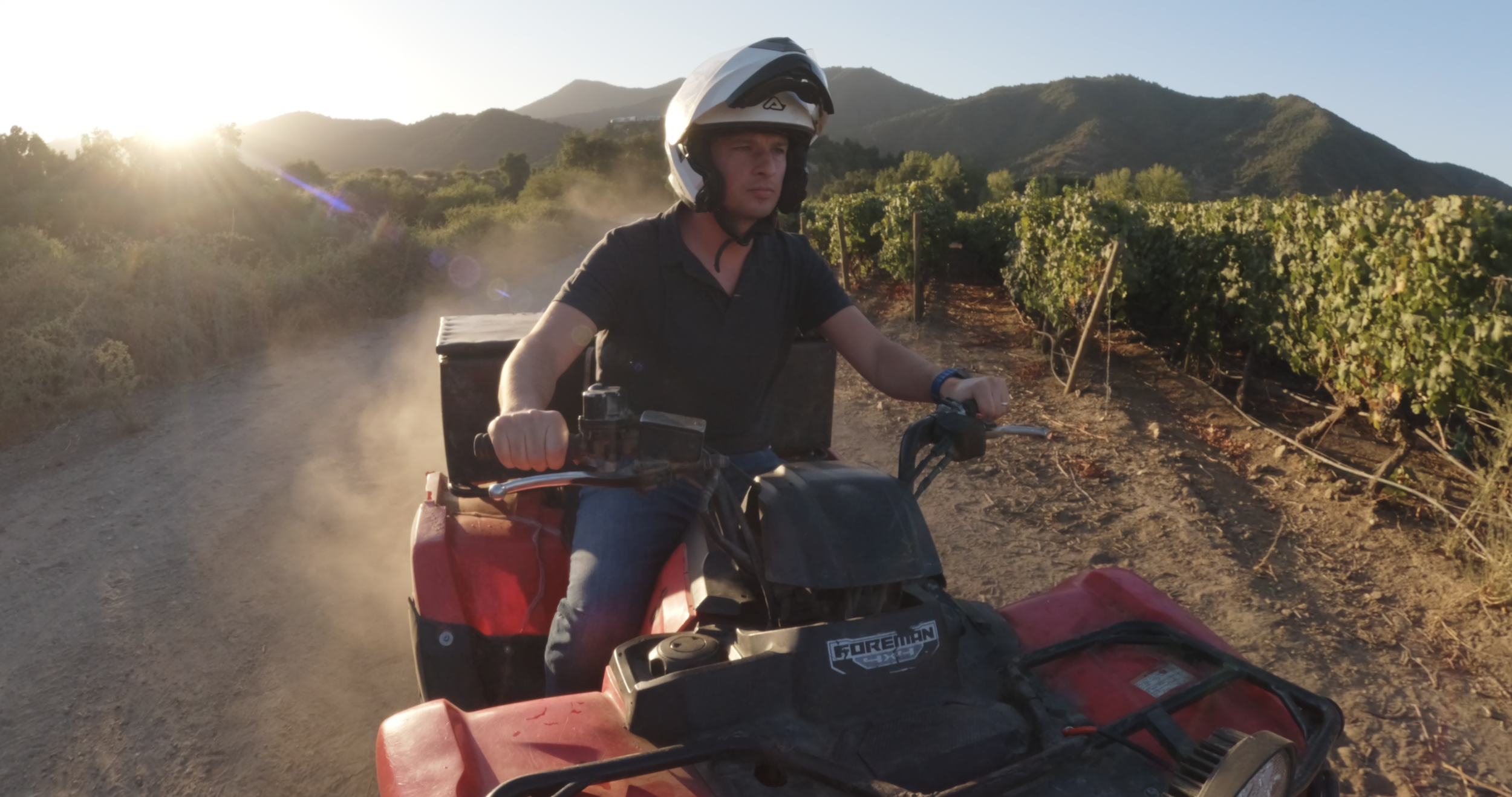 UPC Jack on Quad in Vineyard.png