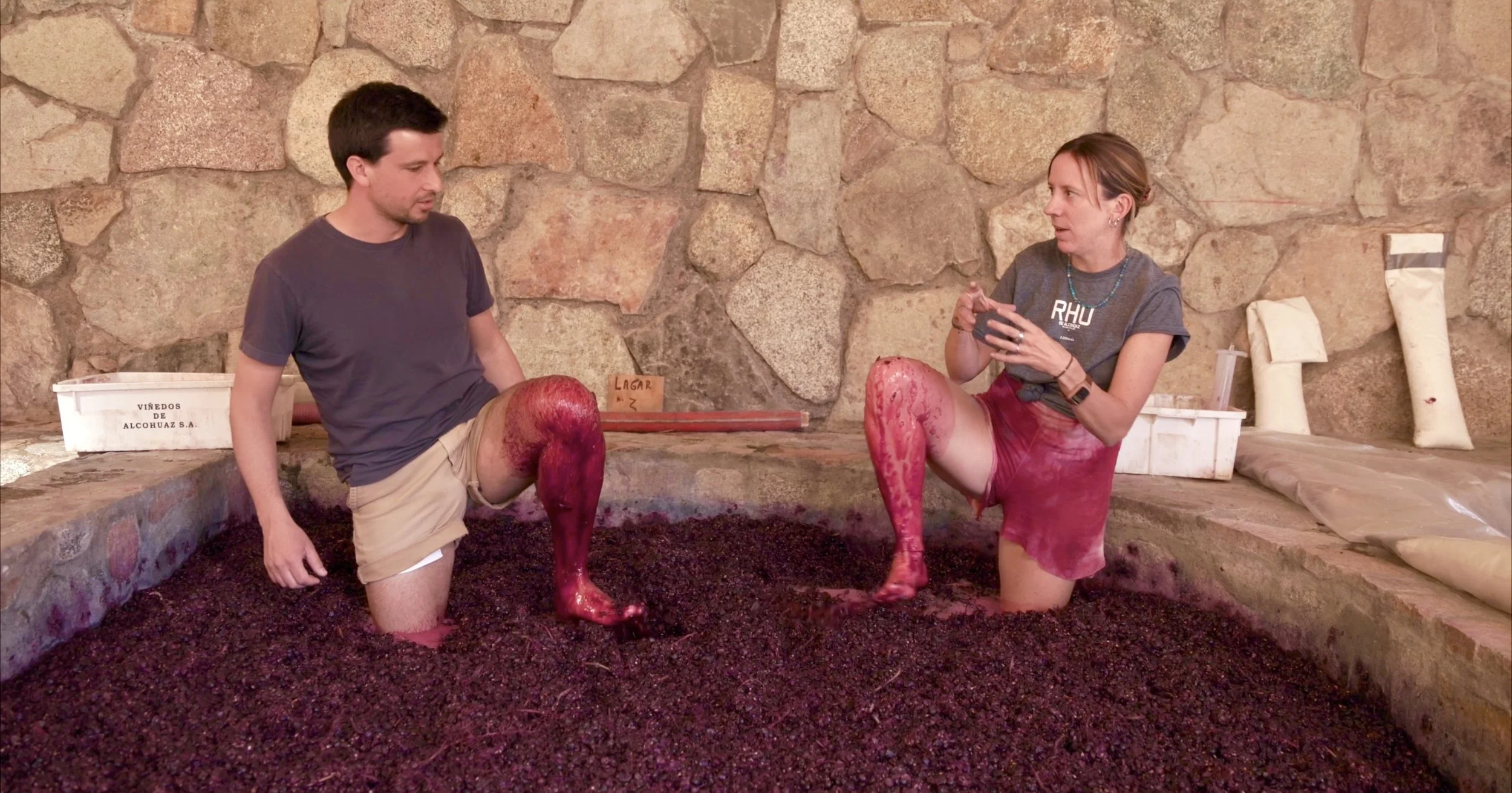 UPC Alcohuaz Grape Stomping.jpeg