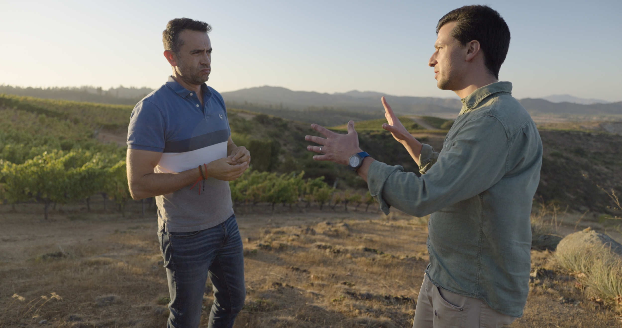 UPC Los Vascos Vineyard Interview.png