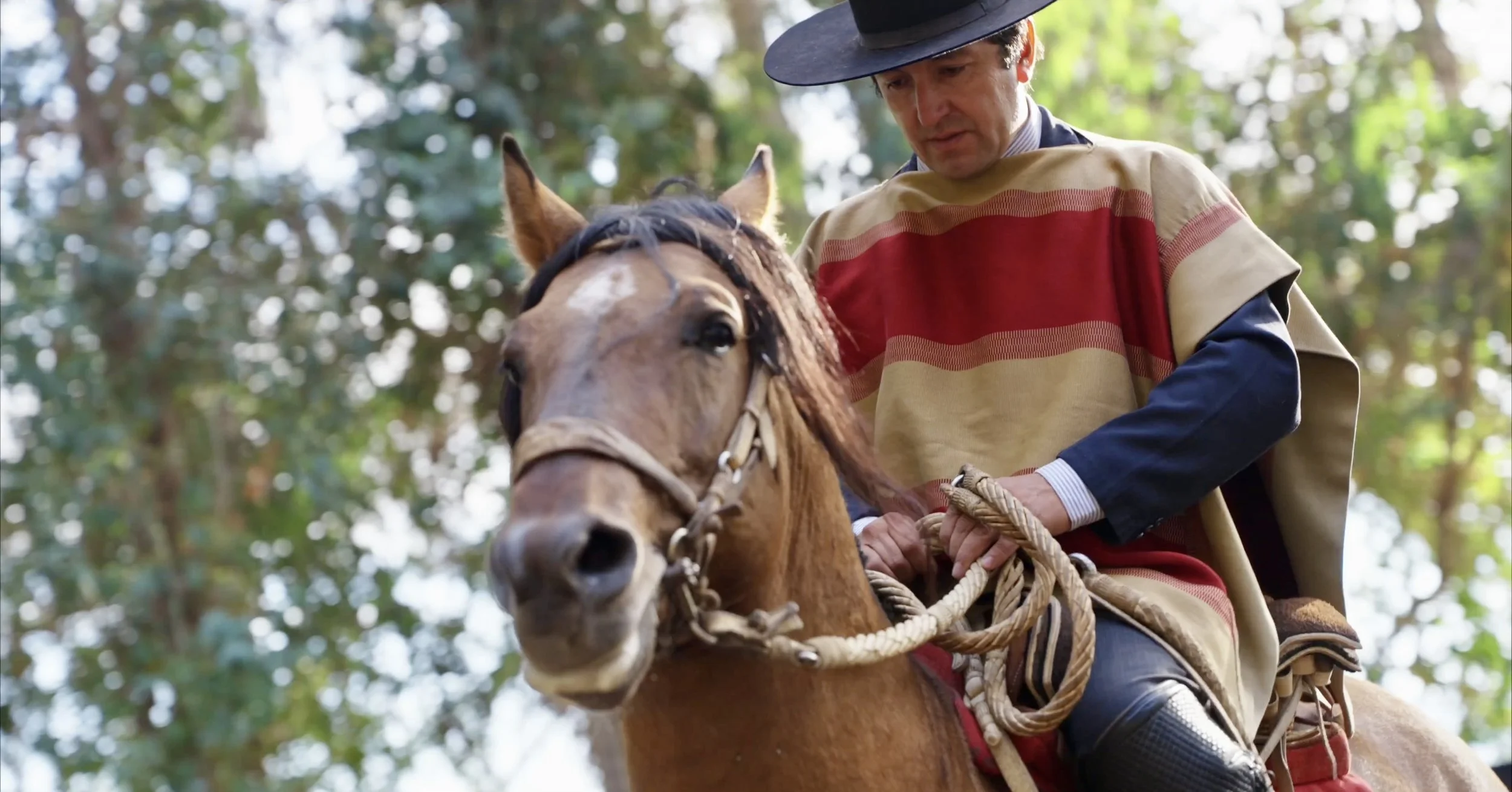 Screenshot 2025-12-19 at 2.47.51 PM.jpeg