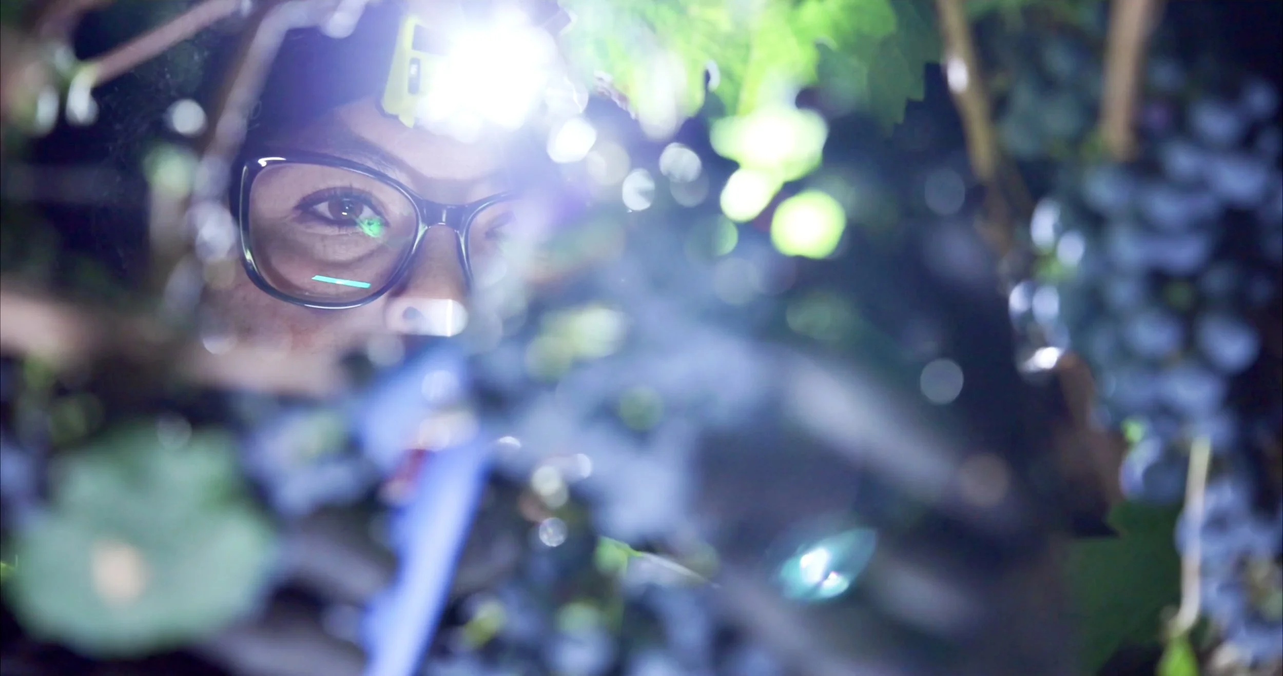 Screenshot 2025-12-19 at 2.41.11 PM.jpeg