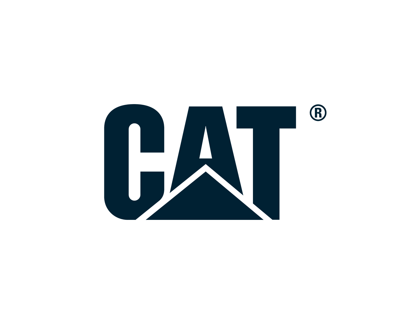 CAT.png