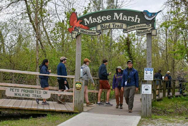 Magee Marsh Boardwalk - Oak Harbor, Ohio