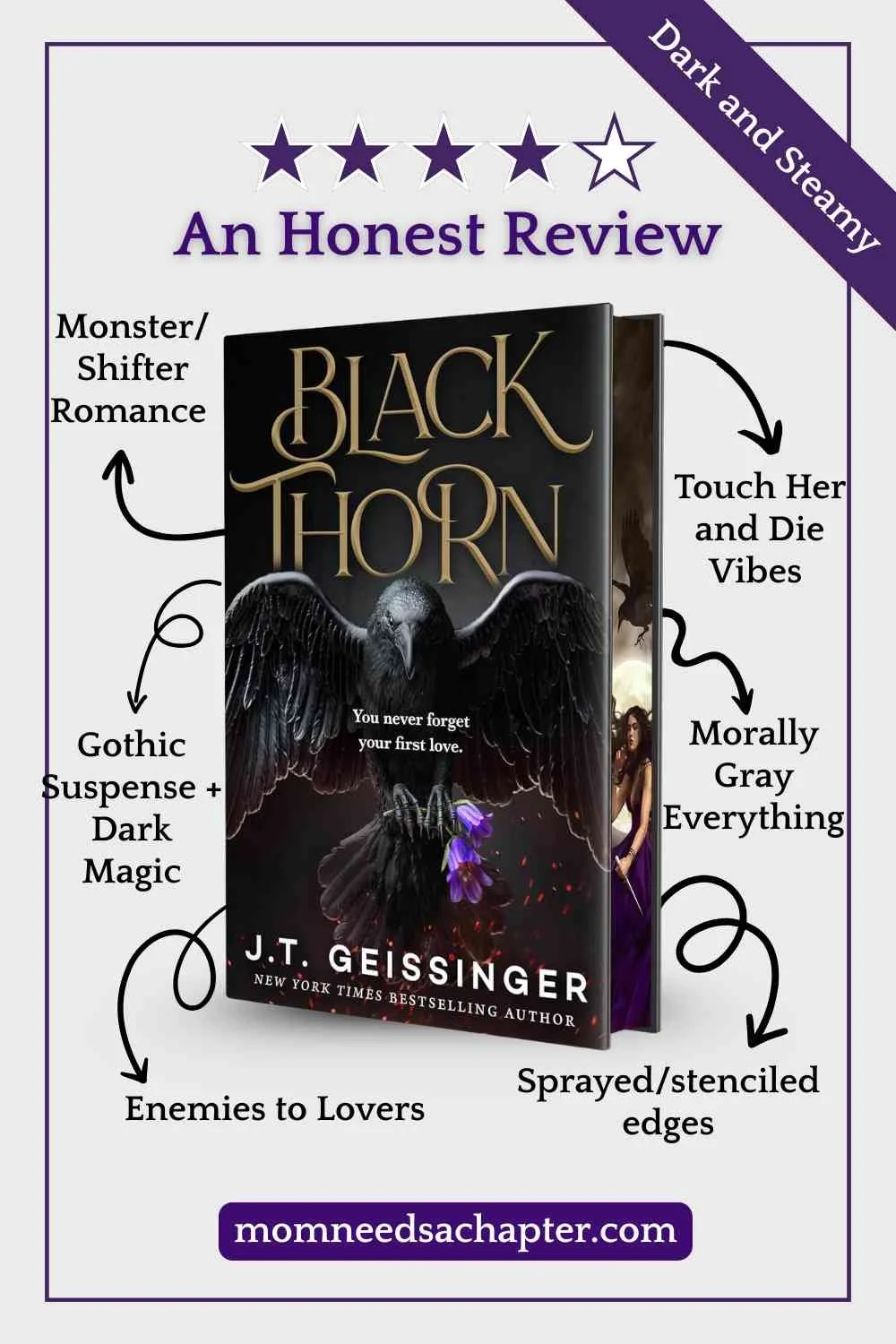 Blackthorn by JT Geissinger a hauntingly beautiful gothic romance