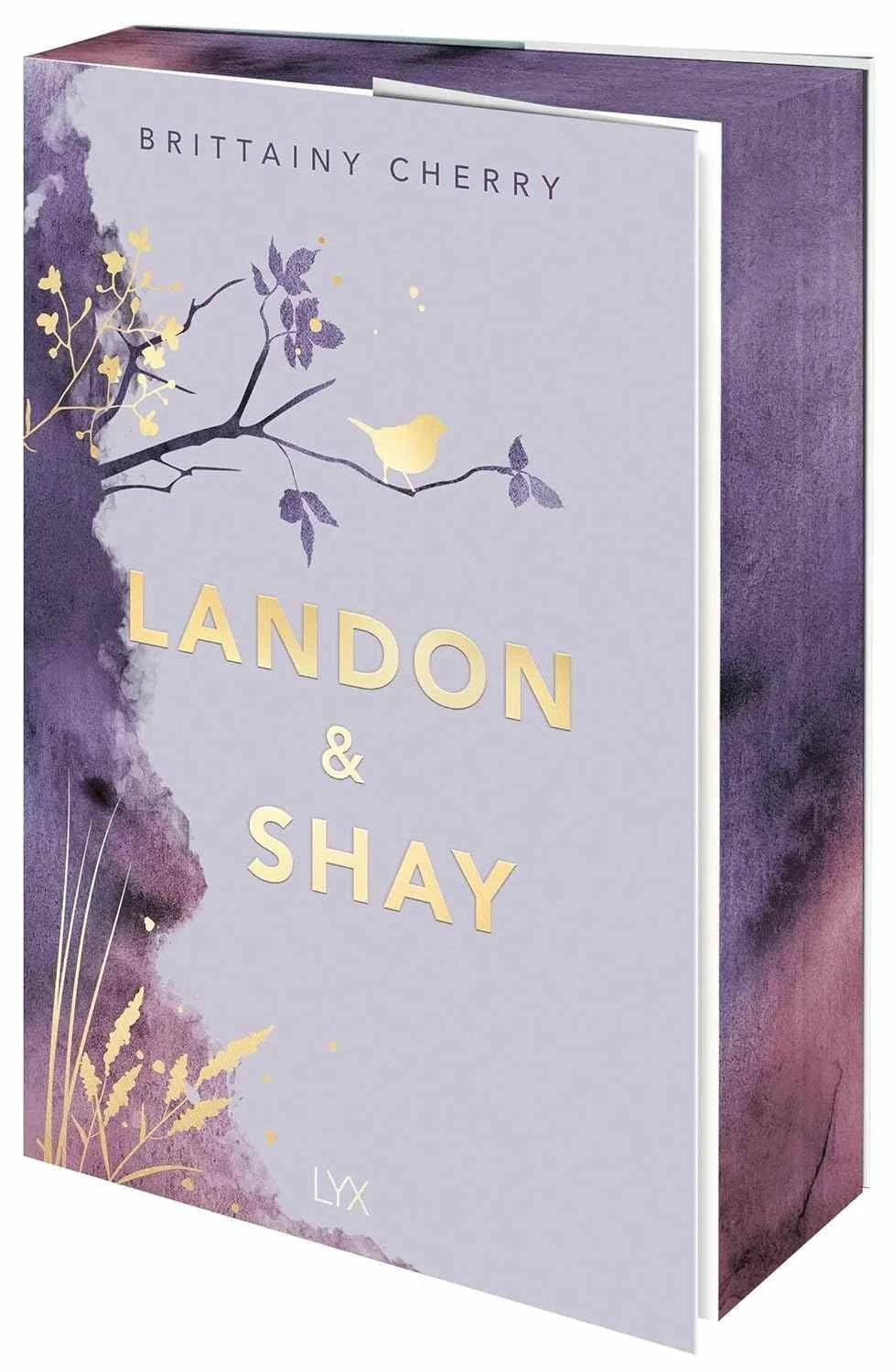 Graphic of the deluxe paperback edition of Landon & Shay by Brittainy Cherry