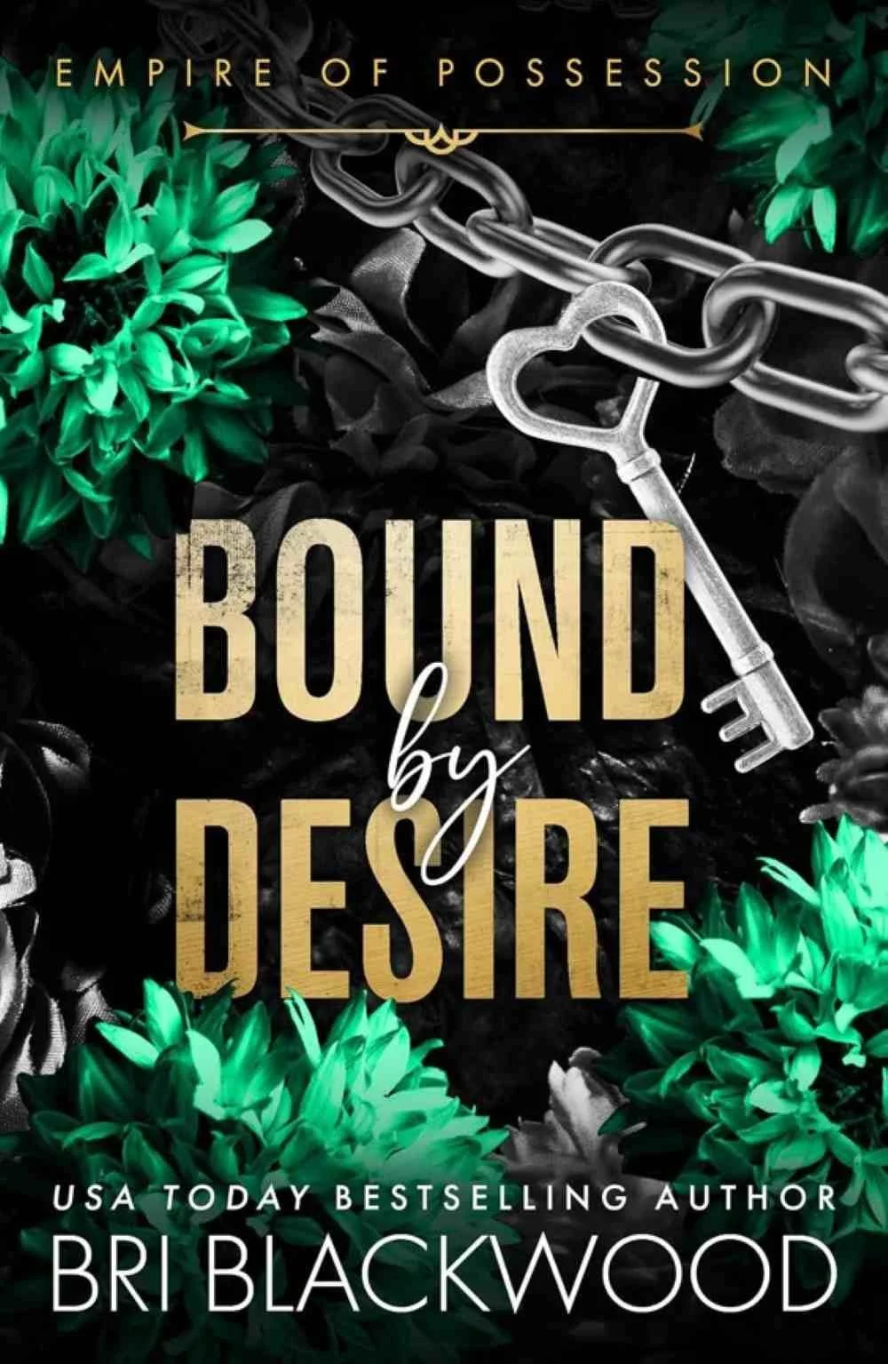 Cover graphic for the new dark romance release Bound by Desire