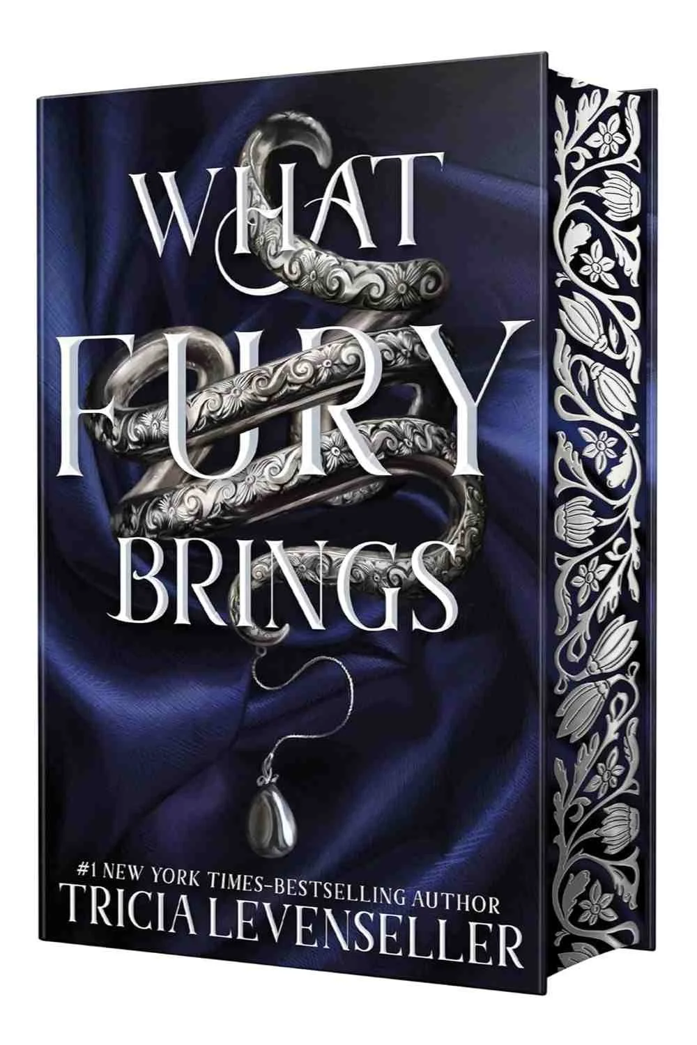 Cover of the book What Fury Brings