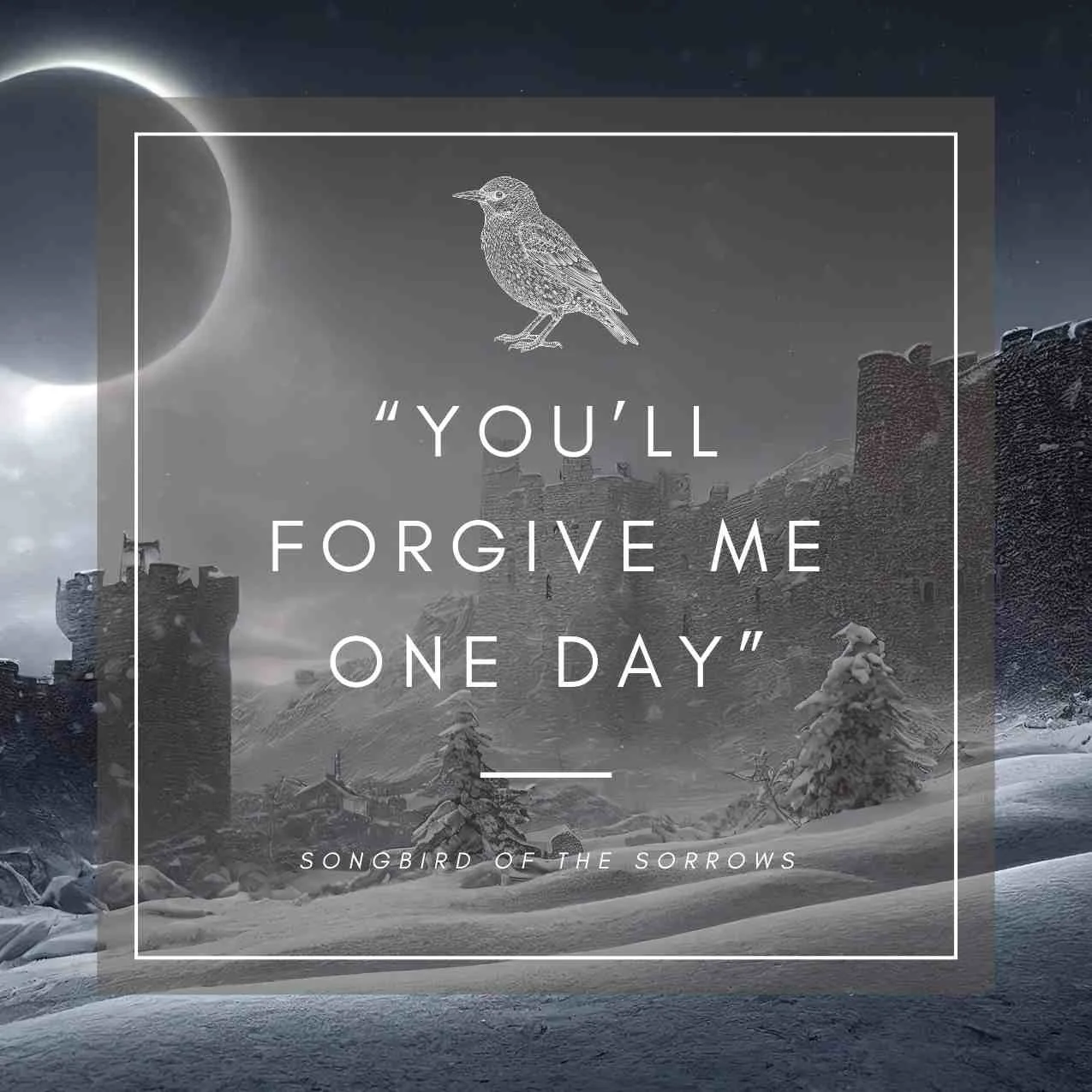 Visual quote from Songbird of the Sorrows by Braidee Otto, "You'll forgive me one day"