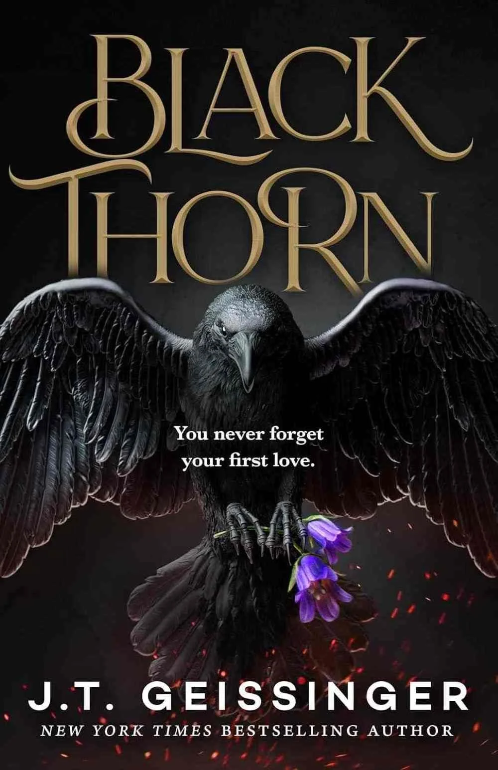 Blackthorn by JT Geissinger a touch her and die spicy romance