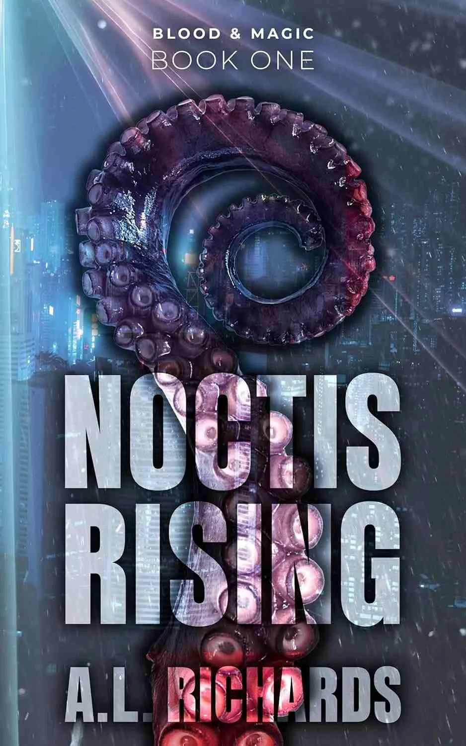 Cover graphic for the indie fantasy romance Noctis Rising by A. L. Richards