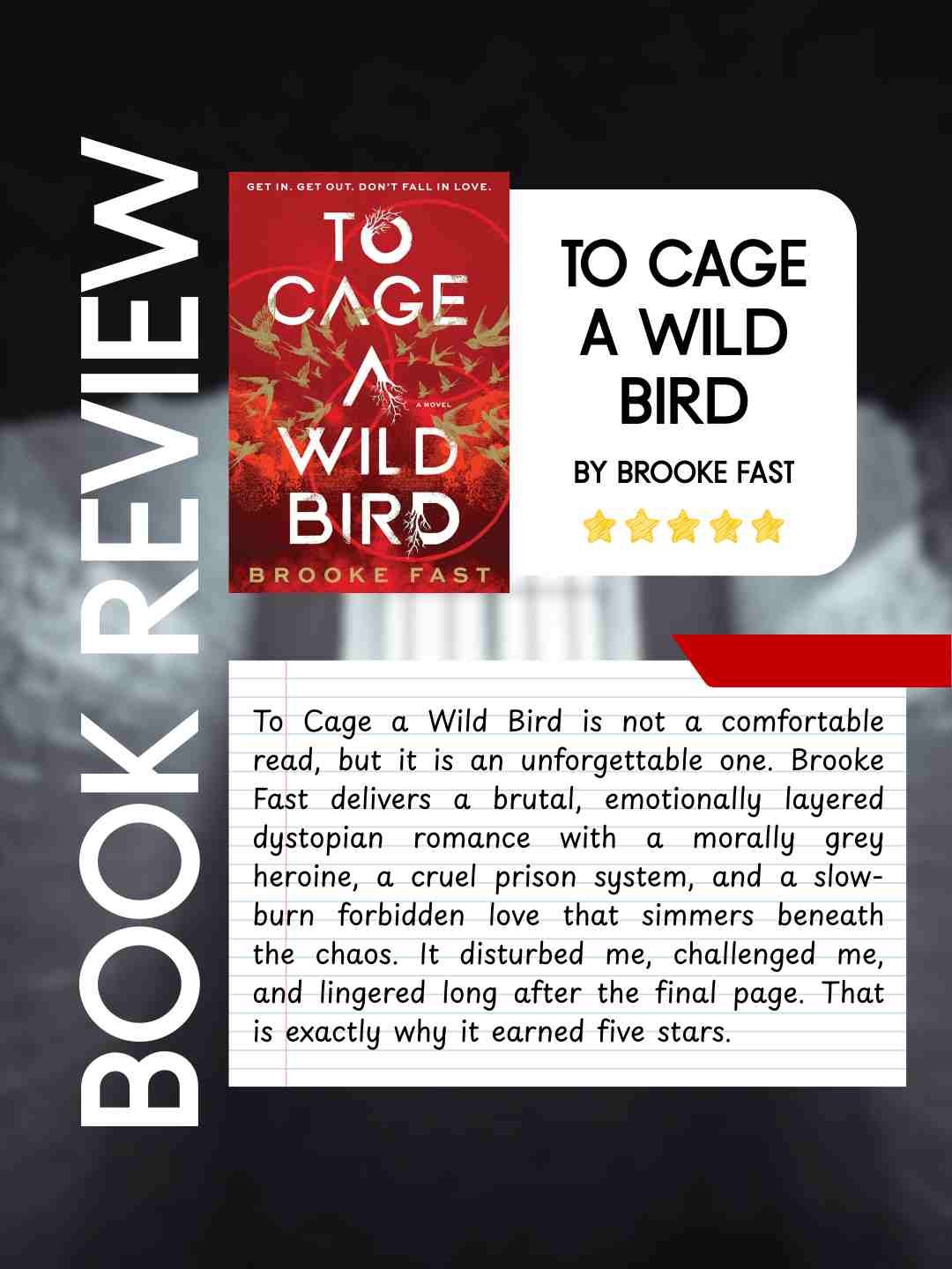 Graphic for the book review post for the book To Cage a Wild Bird by Brooke Fast