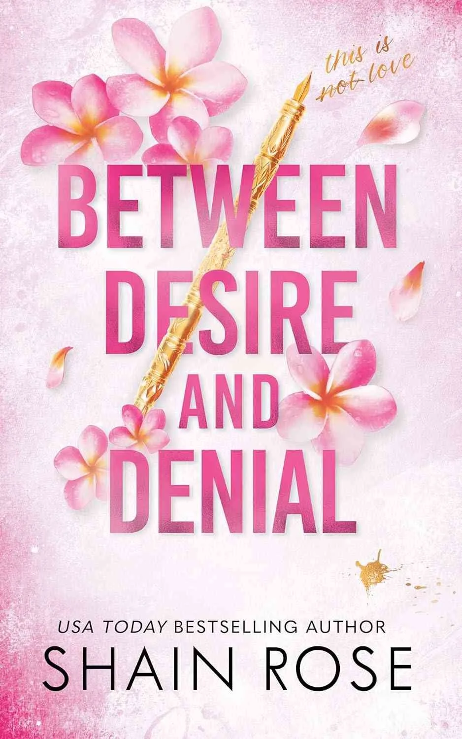 Book cover graphic for the book Between Desire and Denial by Shain Rose a fake dating romance