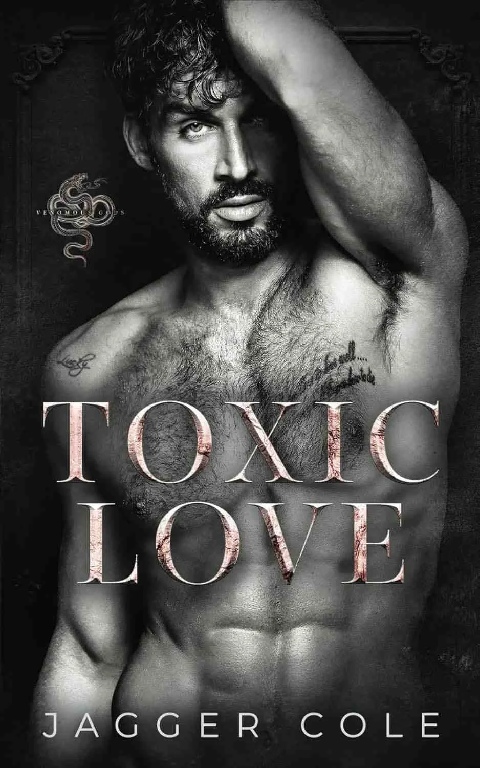 Cover graphic for the dark romance Toxic Love