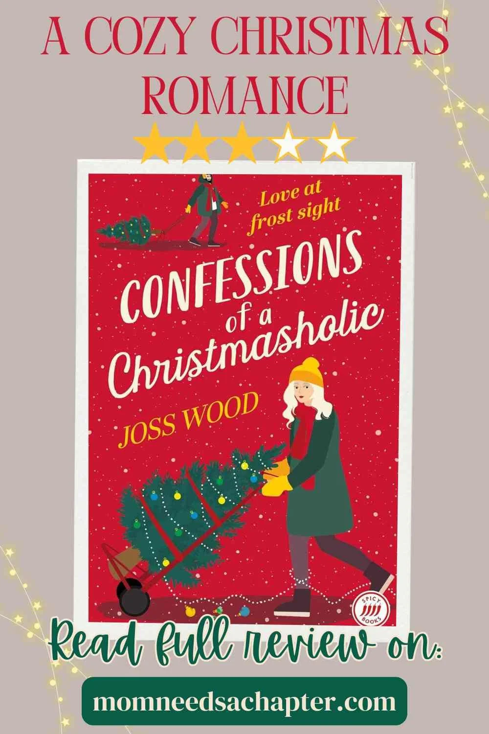 A Cozy Christmas Romance