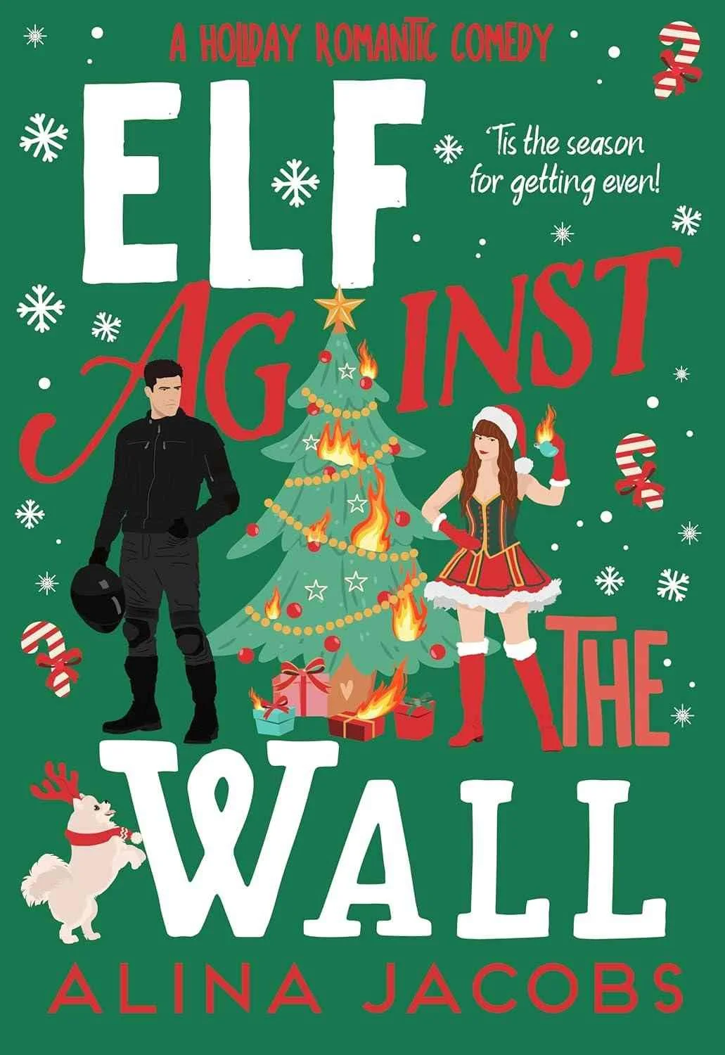 Cover graphic for the book Elf Against the Wall by Alina Jacobs
