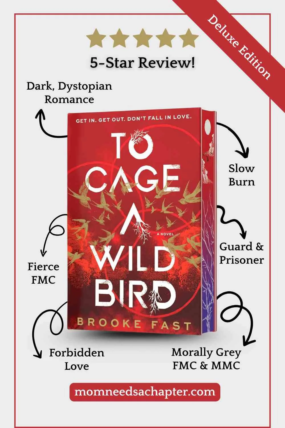 To Cage a Wild Bird by Brooke Fast 5 star review with list of features and tropes