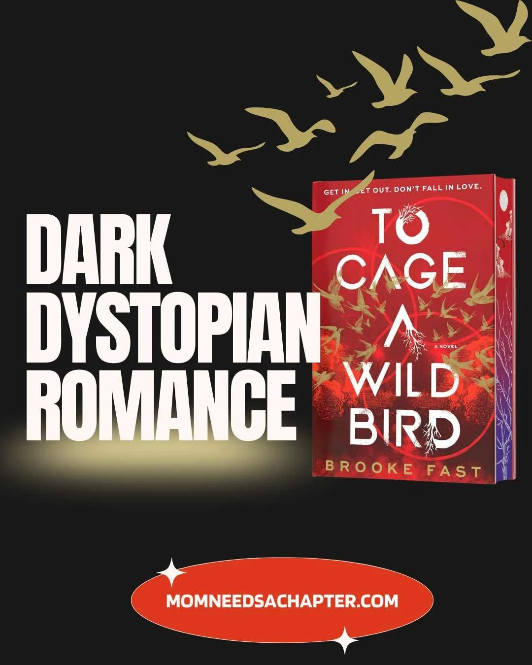 Ad graphic for a Dark Dystopian Romance To Cage a Wild Bird by Brooke Fast