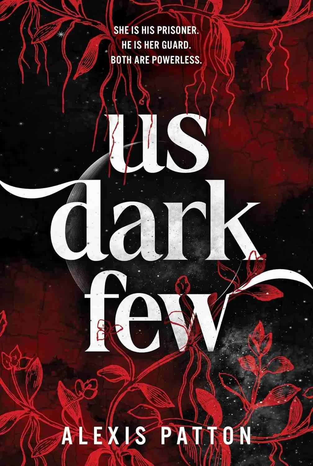Book cover graphic for the book Us Dark Few a YA Dystopian romance
