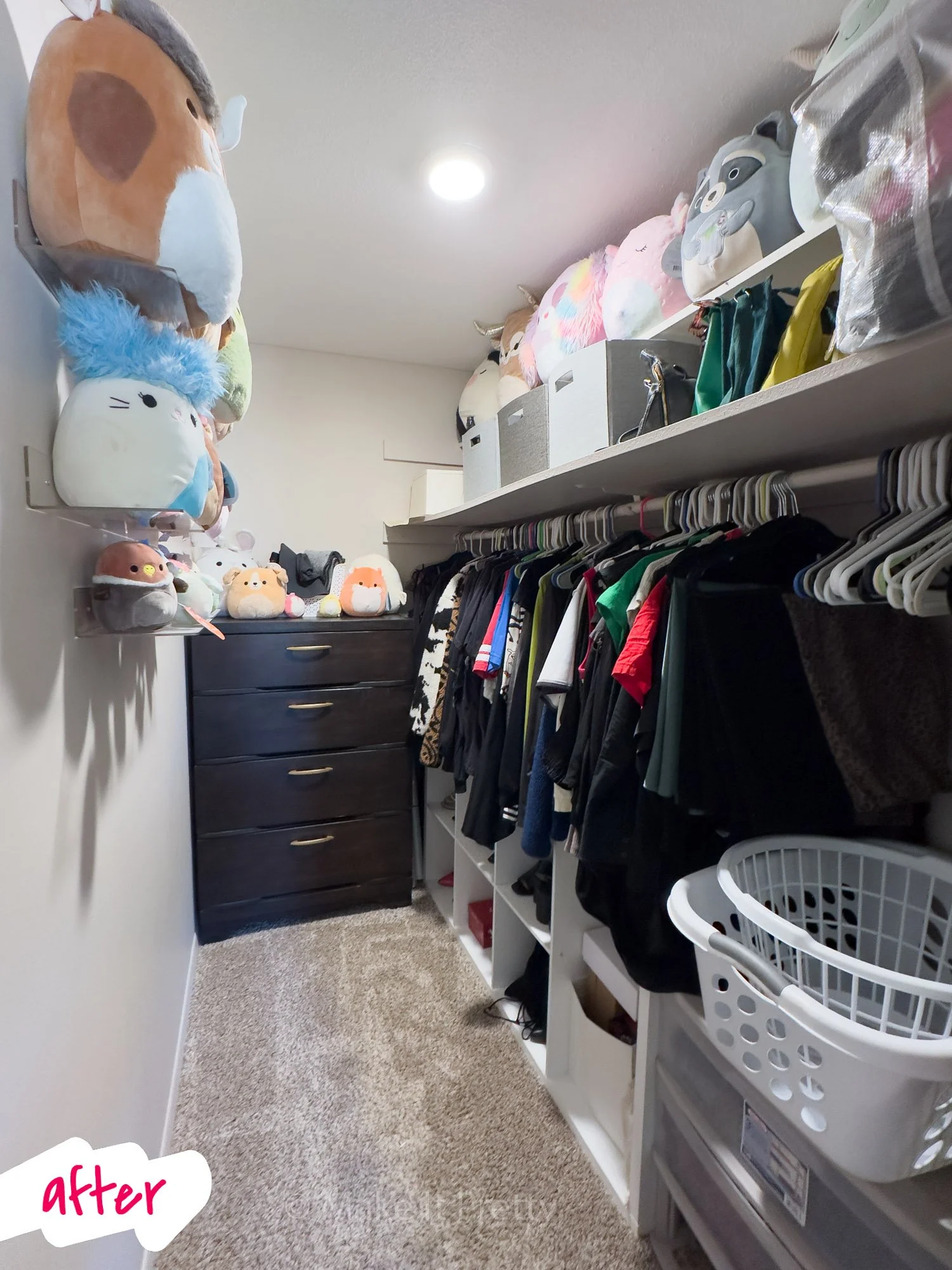 closet-after.jpg