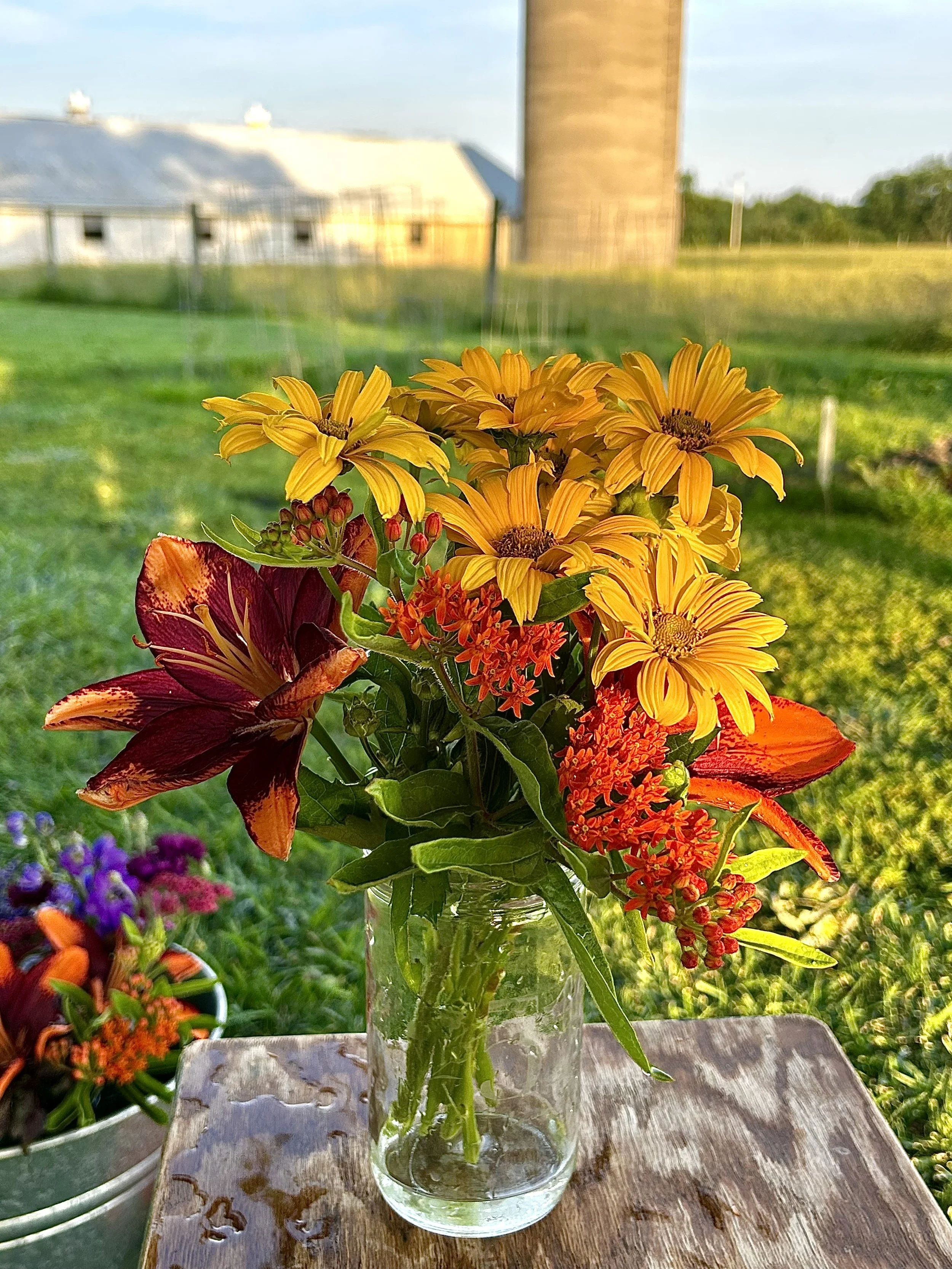 Fremont Farmer's Market