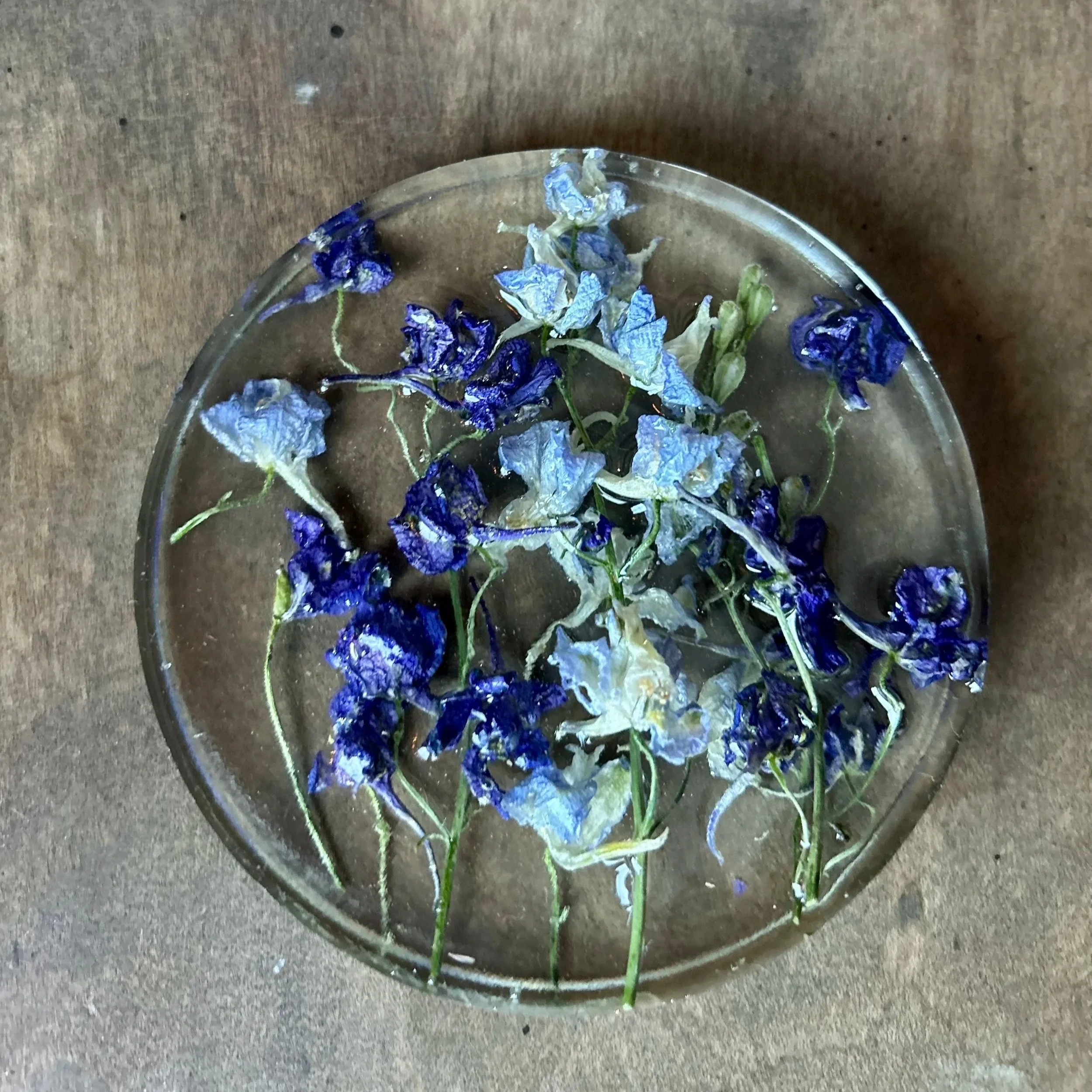 Larkspur Resin Keepsake Coaster