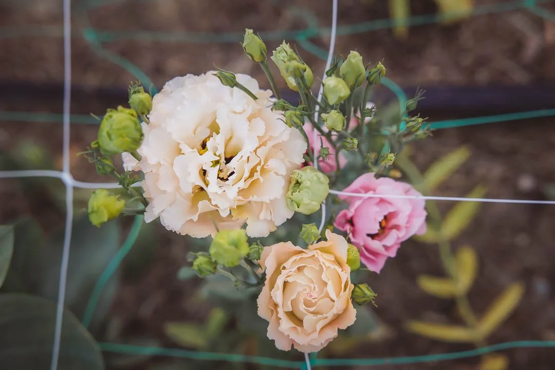 Bouquet of colorful flowers including sunflowers, white chrysanthemums, orange zinnias, and purple salvia, wrapped in newspaper and craft paper.