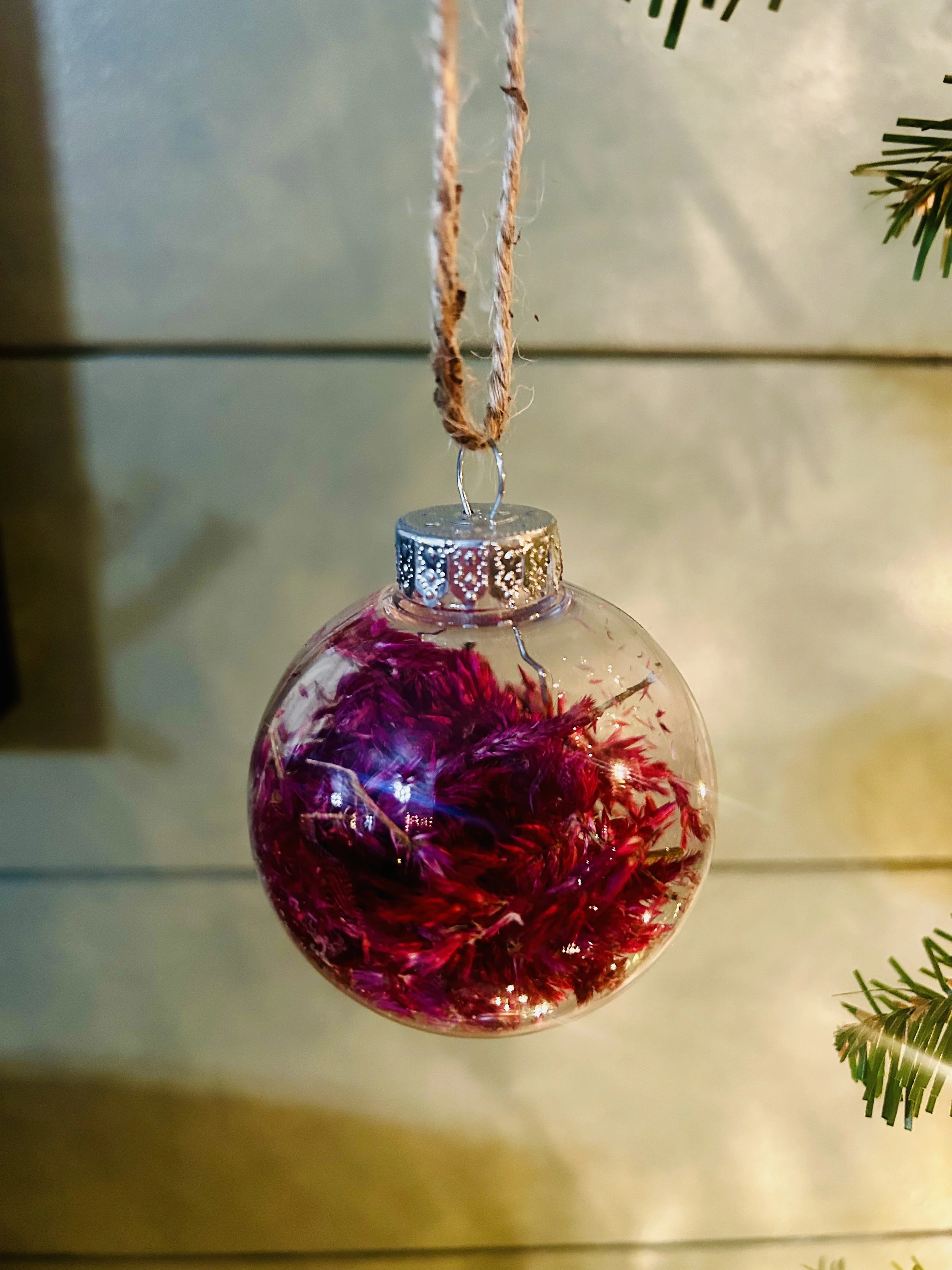 Raspberry Ransom Dried Flower Bulb Ornament